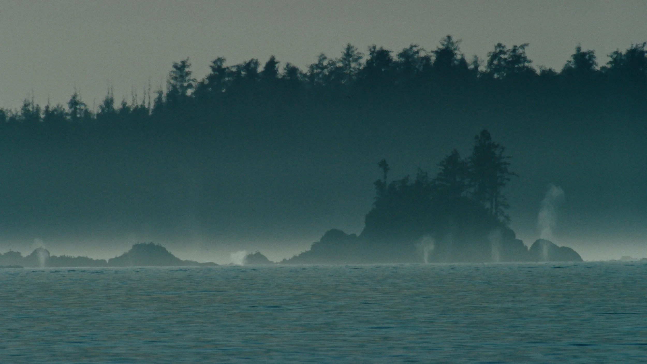 Shotover Commercial Still_1.25.1.jpg