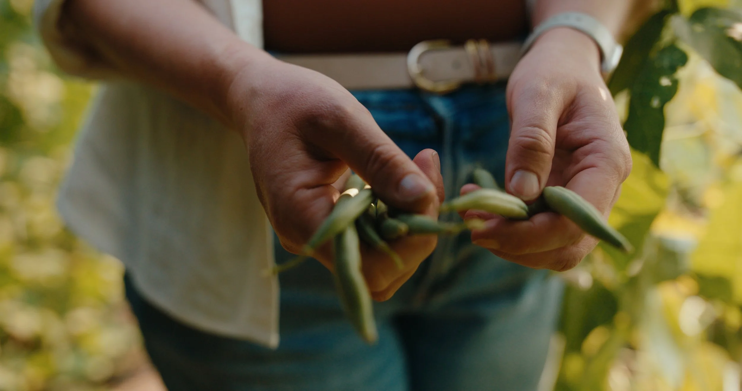 TOTA_V&V_EP 2 Still_JPEG_2.43.1.jpg