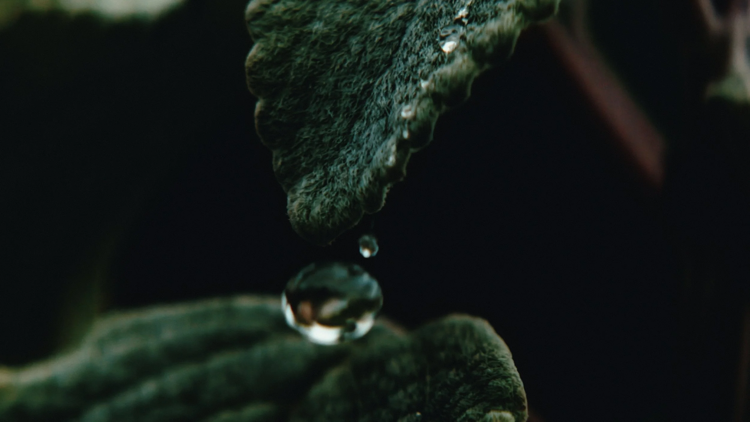 That Which Gives Us Life_3.14.1.jpg