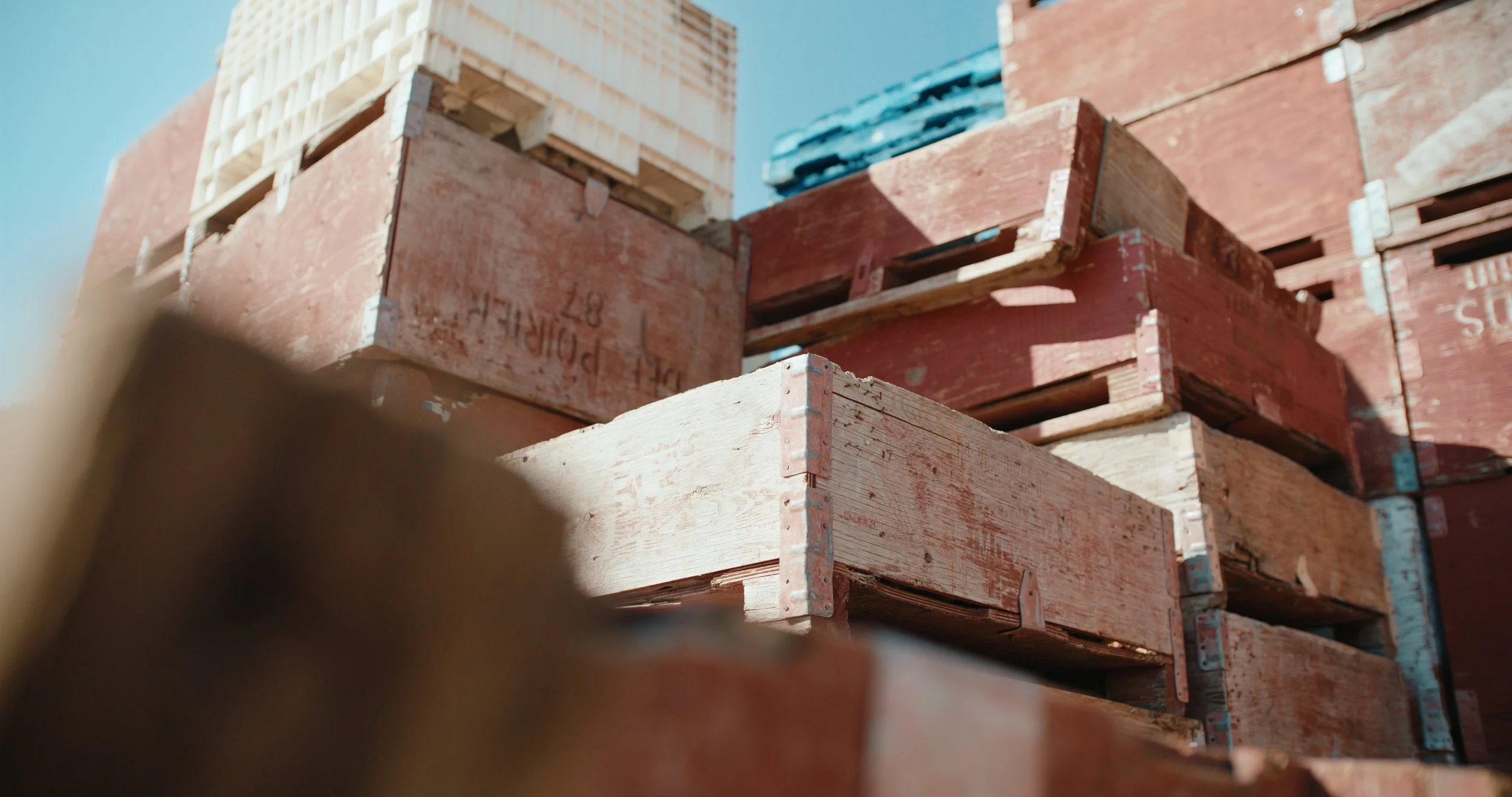 TOTA_V&V_EP 1 Still_JPEG_2.6.1.jpg