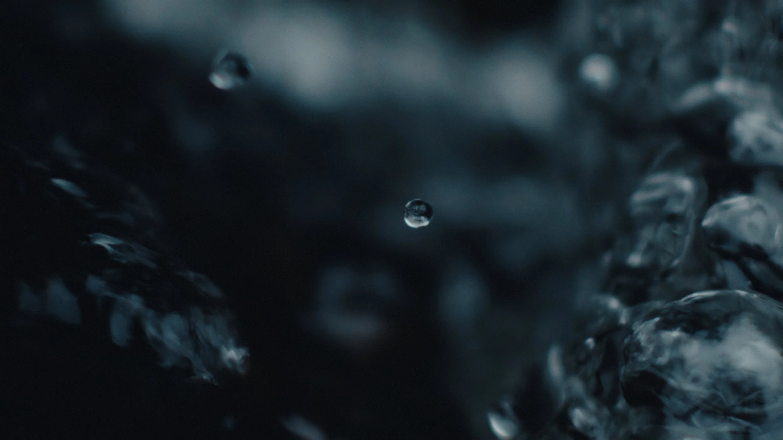 That Which Gives Us Life_2.2.1.jpg