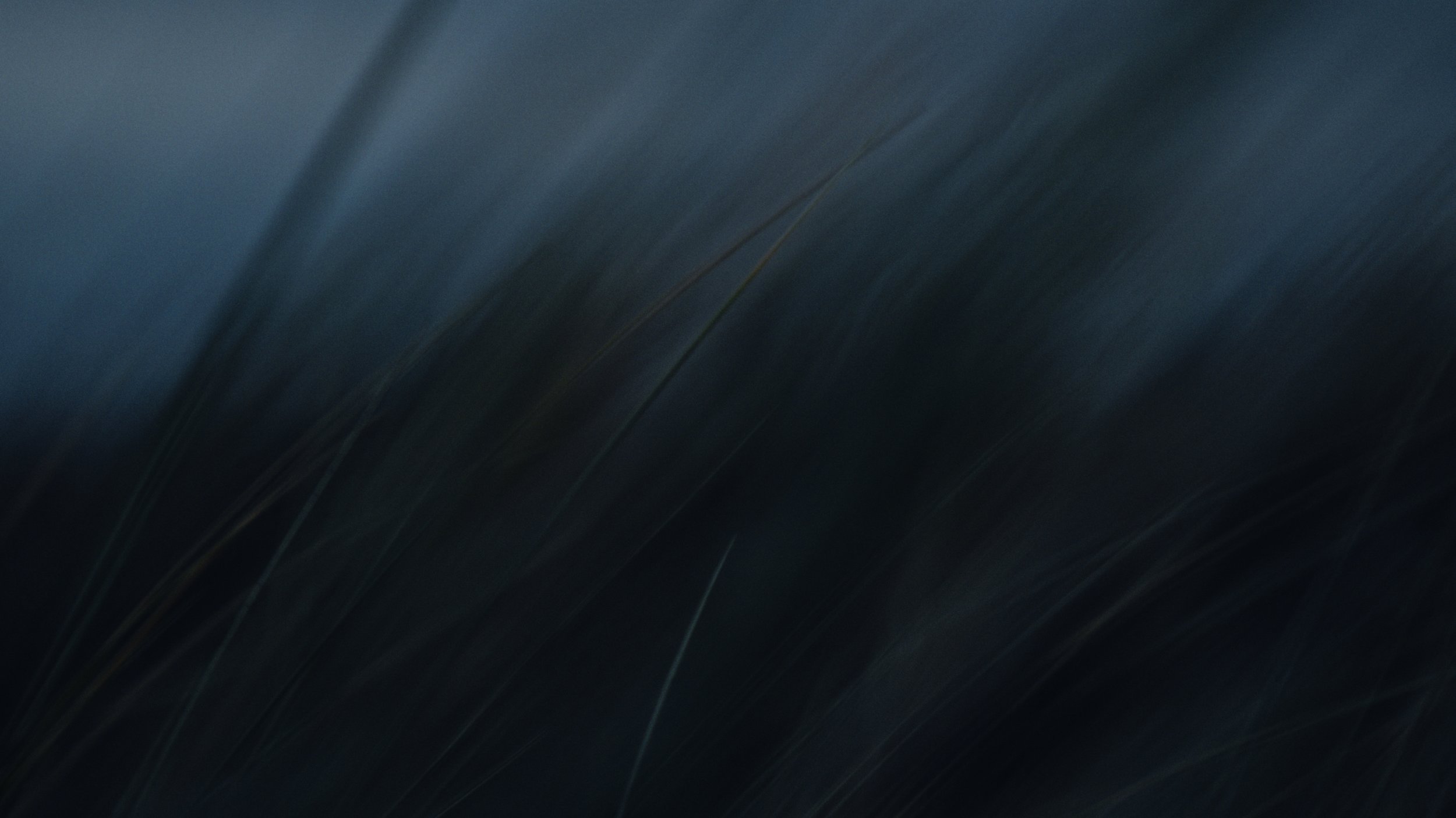 Shaped Us Over Time_Still_Jpeg_1.2.1.jpg