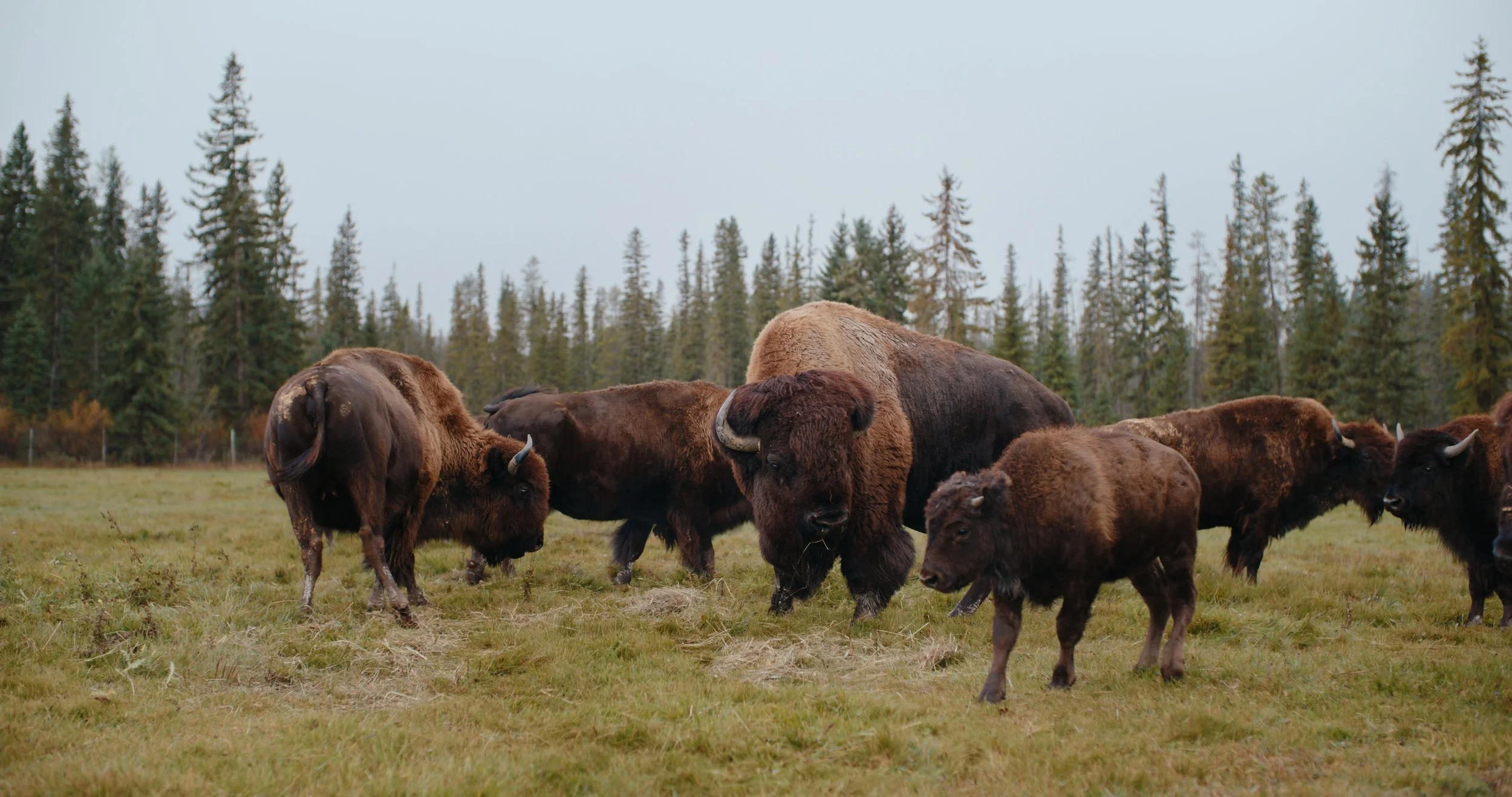 DBC_RTR_EP 6 Still_JPEG_1.59.1.jpg