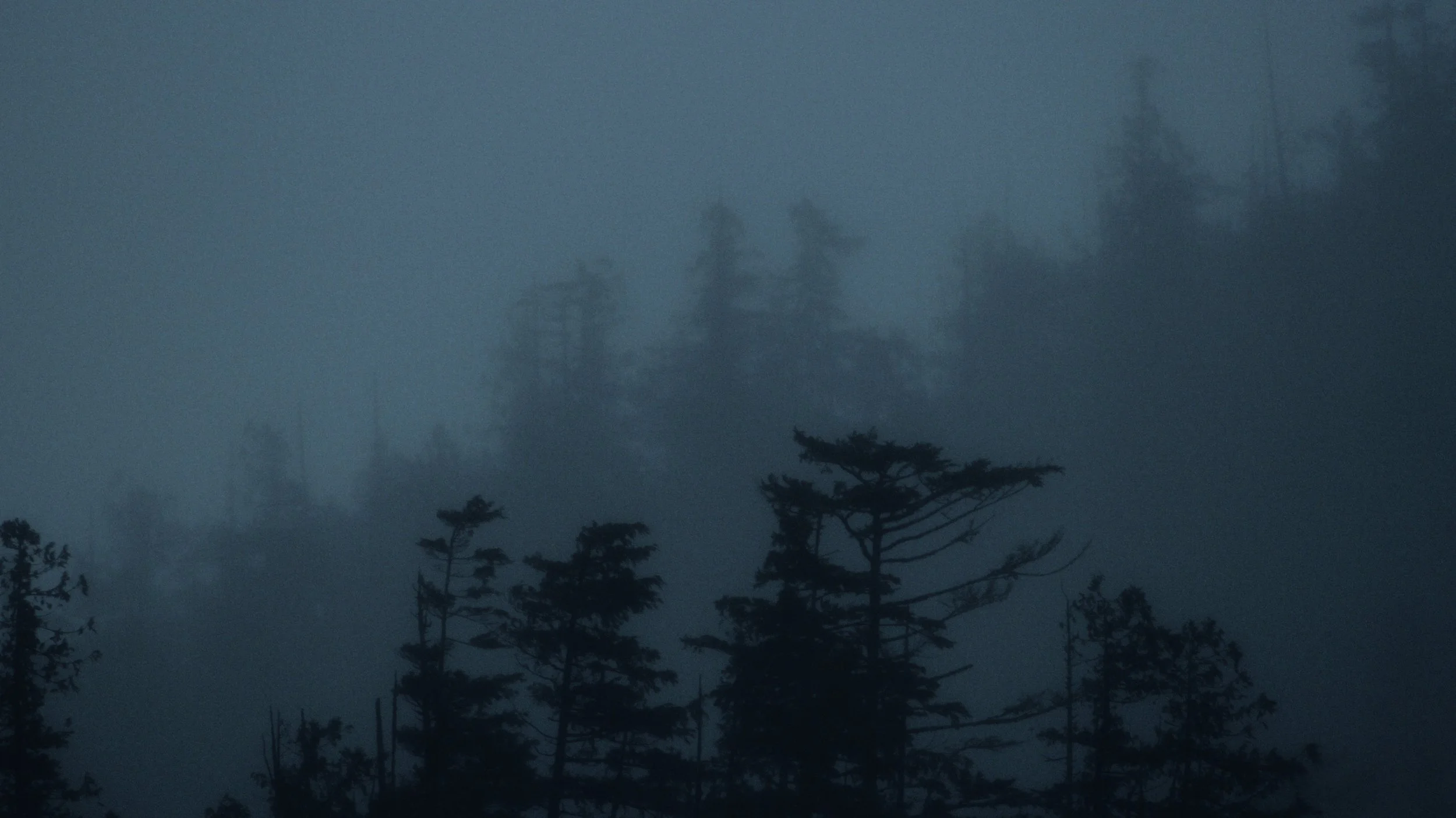 Shaped Us Over Time_Still_Jpeg_1.34.1.jpg