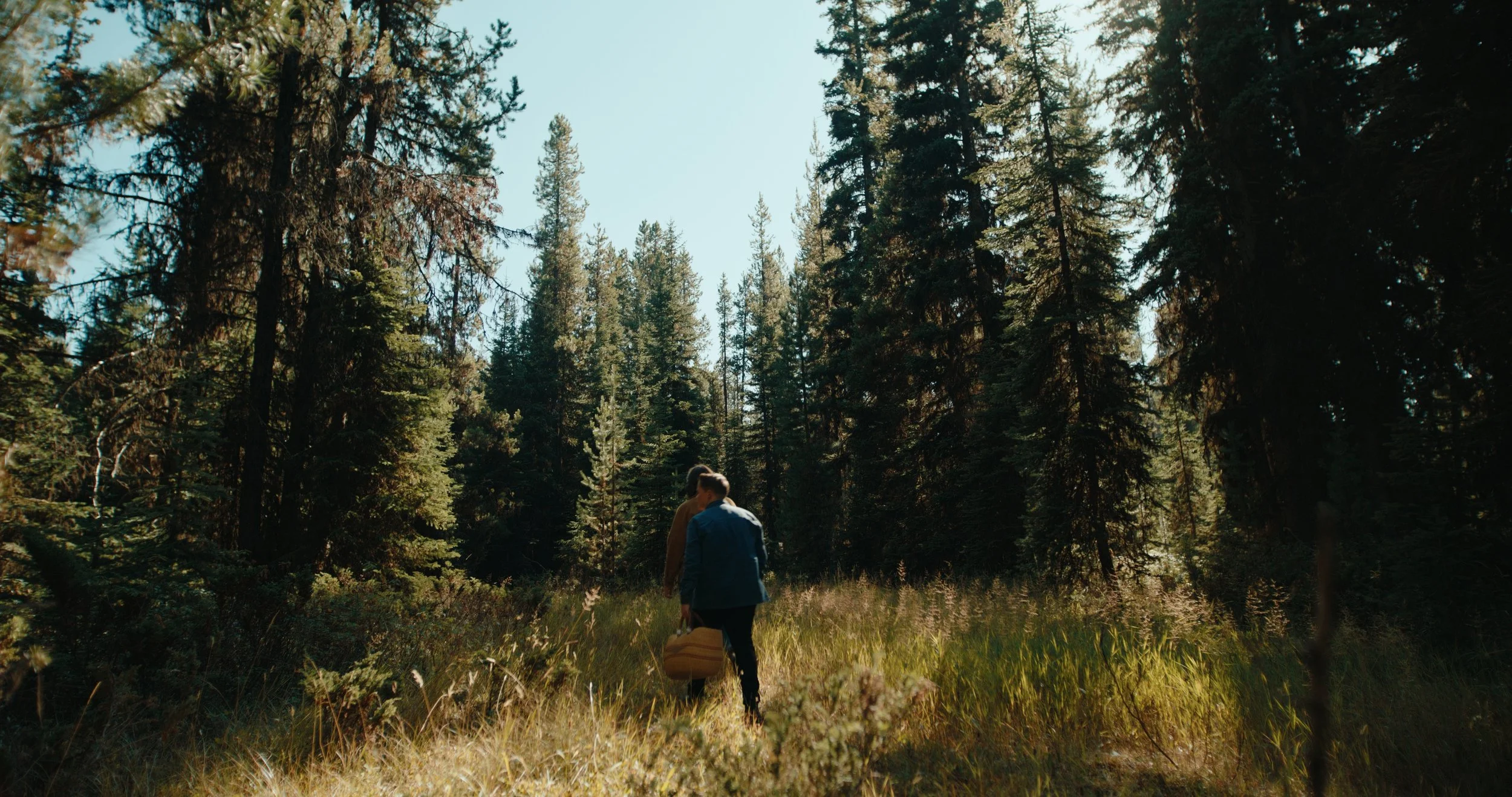 TOTA_V&V_EP 2 Still_JPEG_2.55.1.jpg