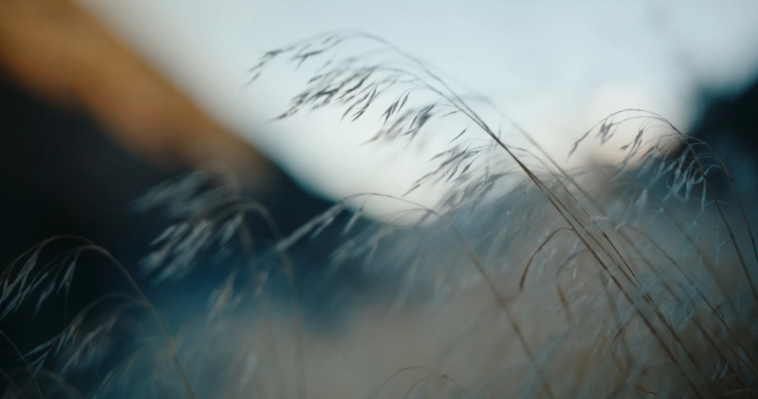 DBC_RTR_EP 3 Still_JEPG_1.35.1.jpg