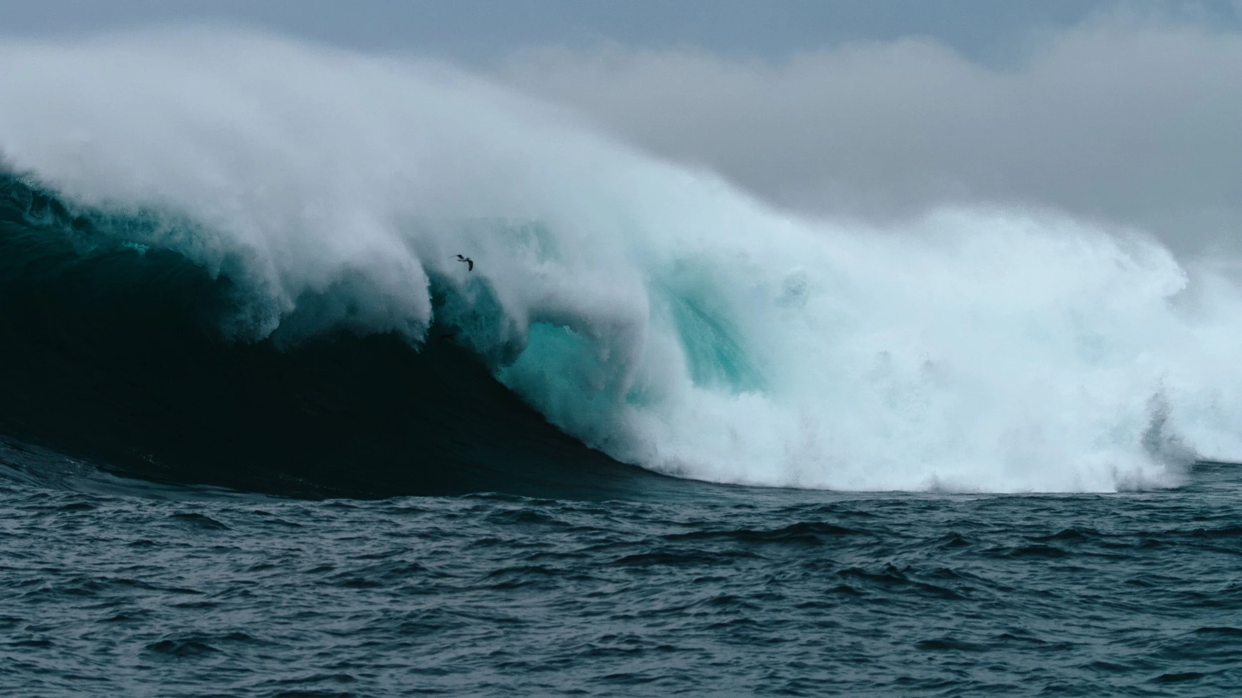 Shotover Commercial Still_1.8.1.jpg