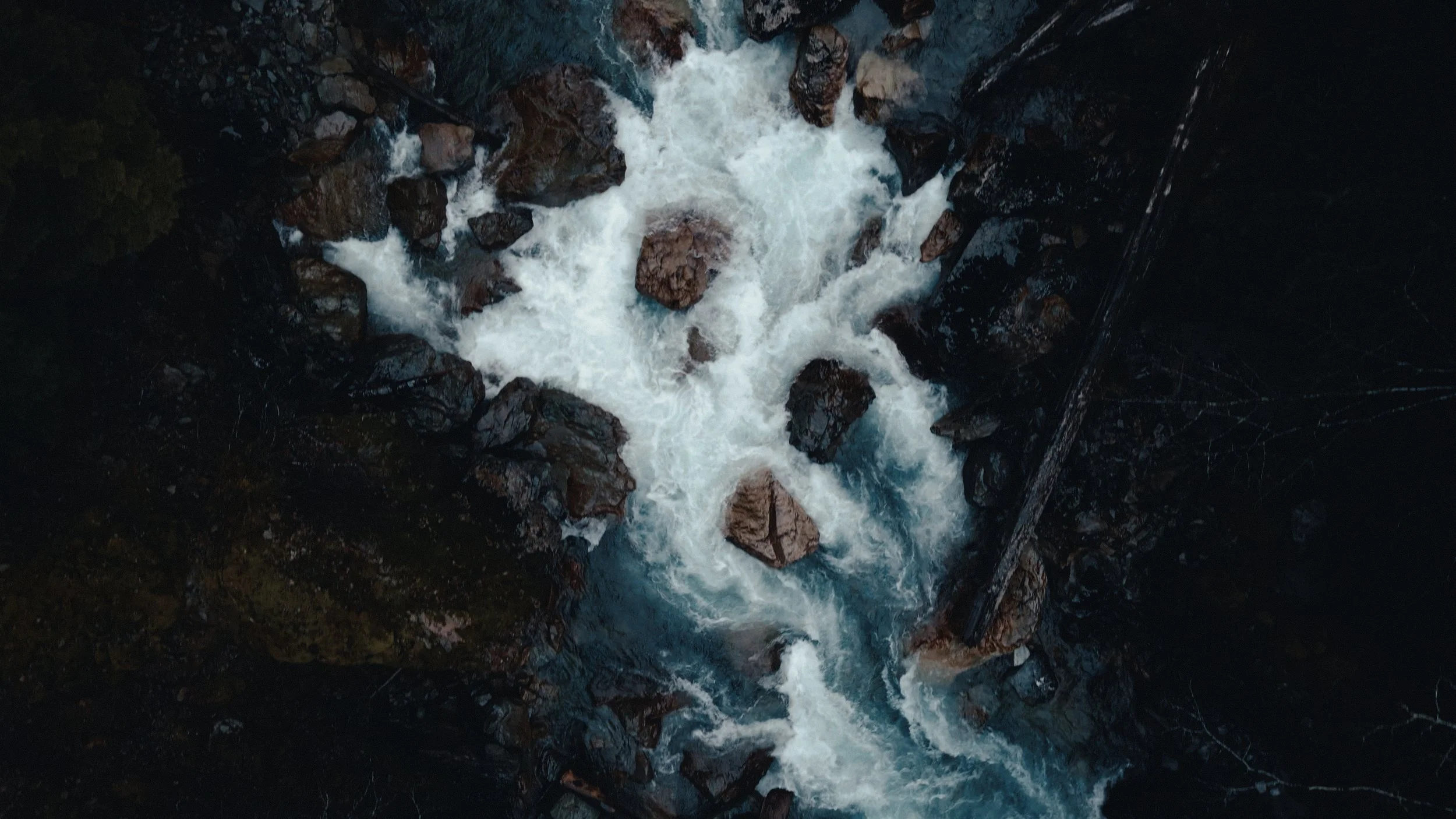 That Which Gives Us Life_3.15.1.jpg