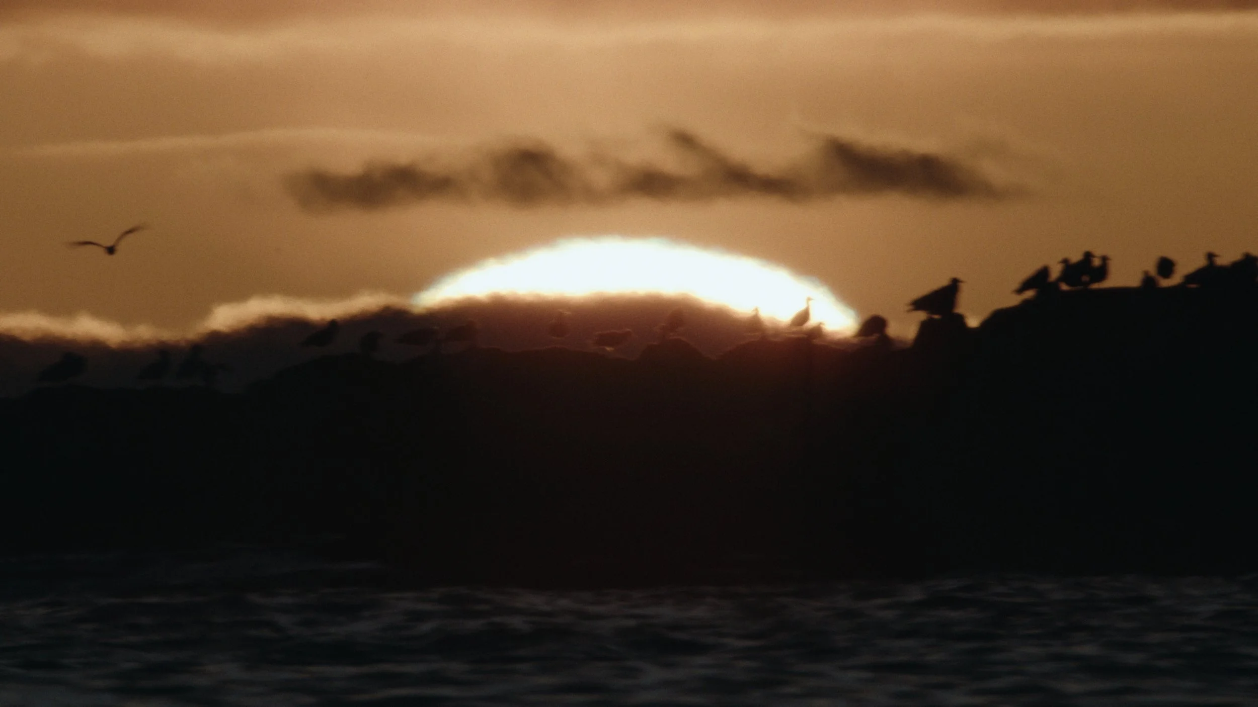 Shotover Commercial Still_1.7.1.jpg