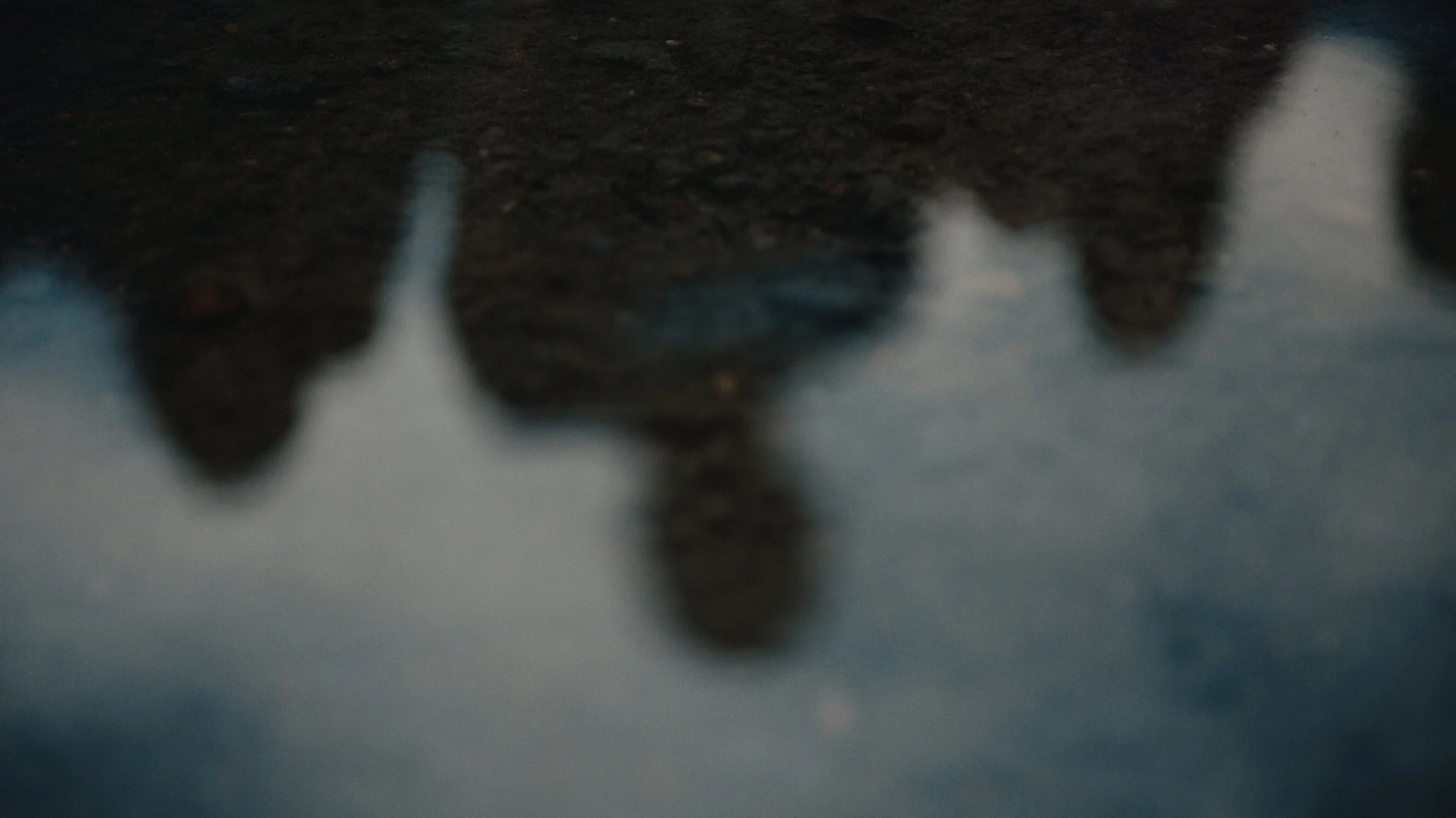 That Which Gives Us Life_2.59.1.jpg