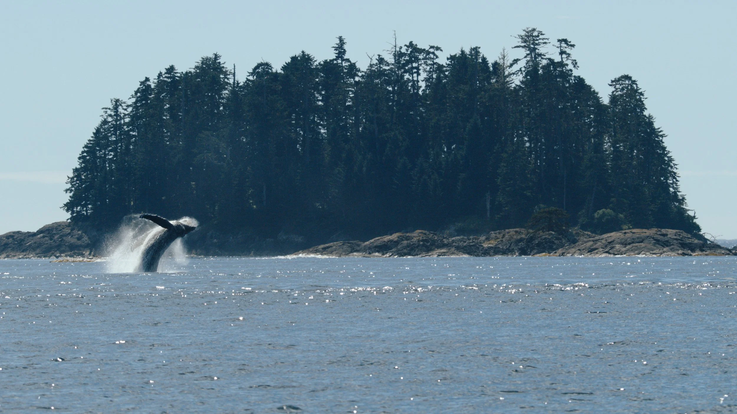 Shotover Commercial Still_1.30.1.jpg