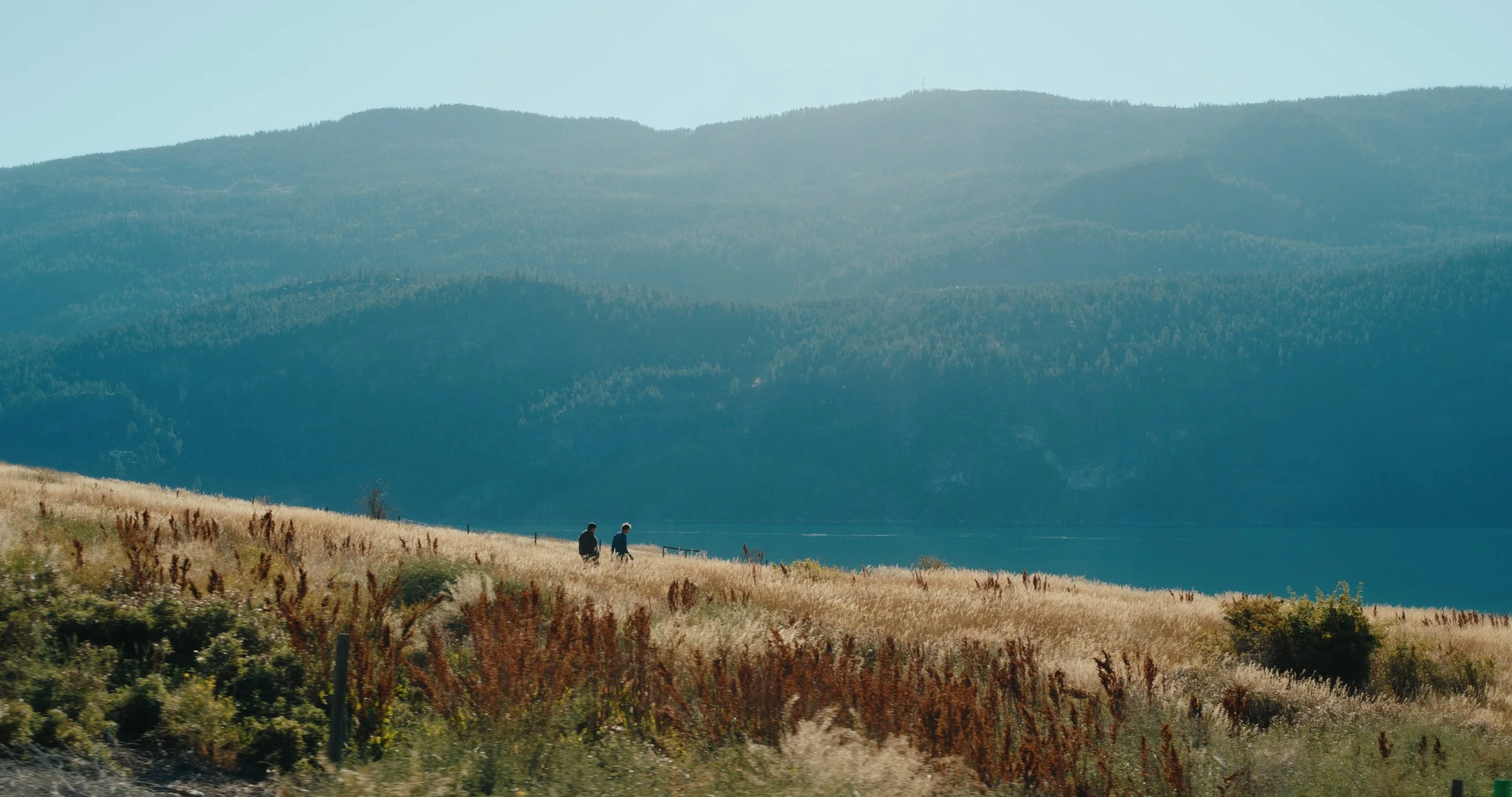 TOTA_V&V_EP 3 Still_JPEG_3.3.1.jpg