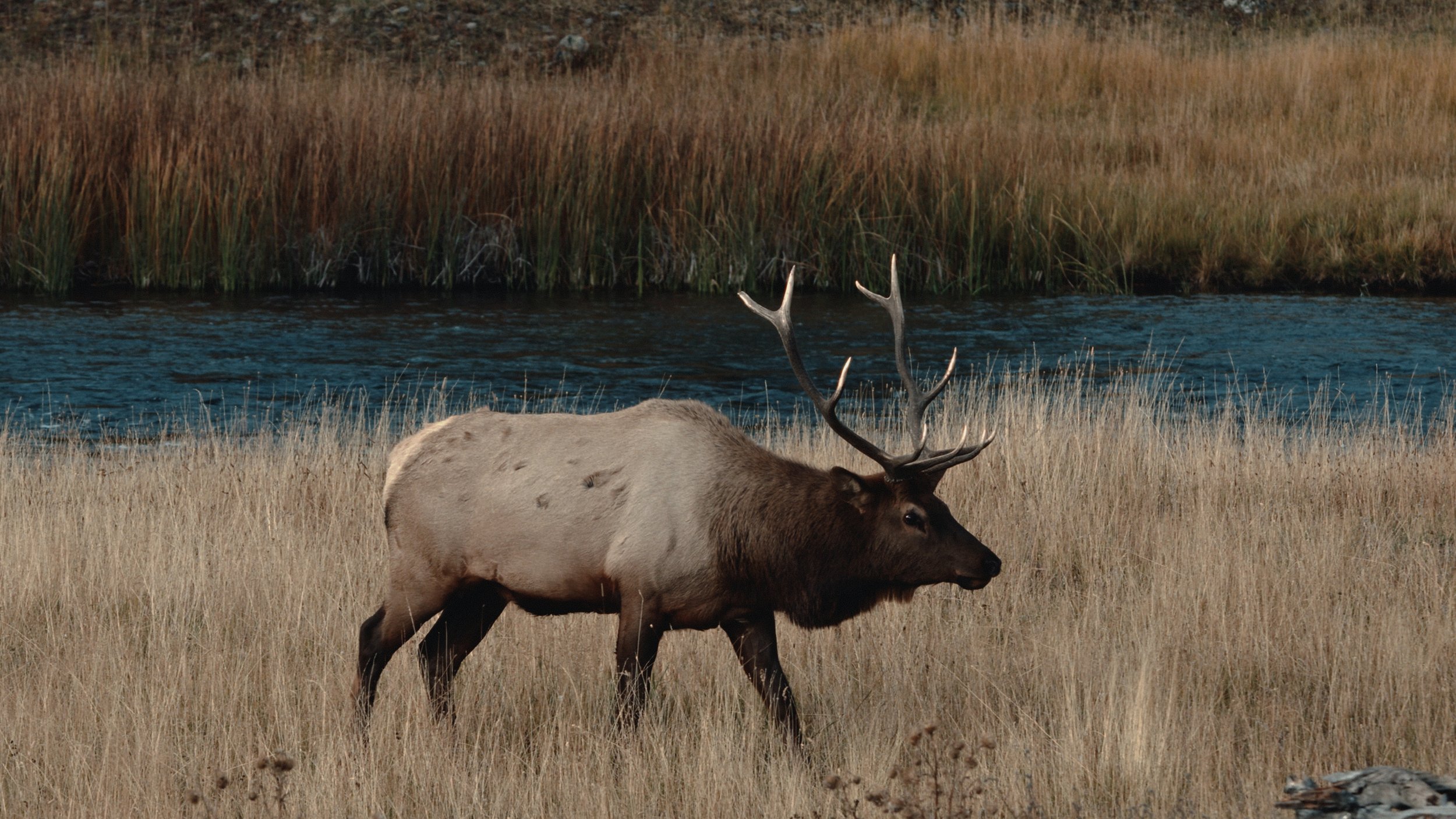 That Which Gives Us Life_3.8.1.jpg