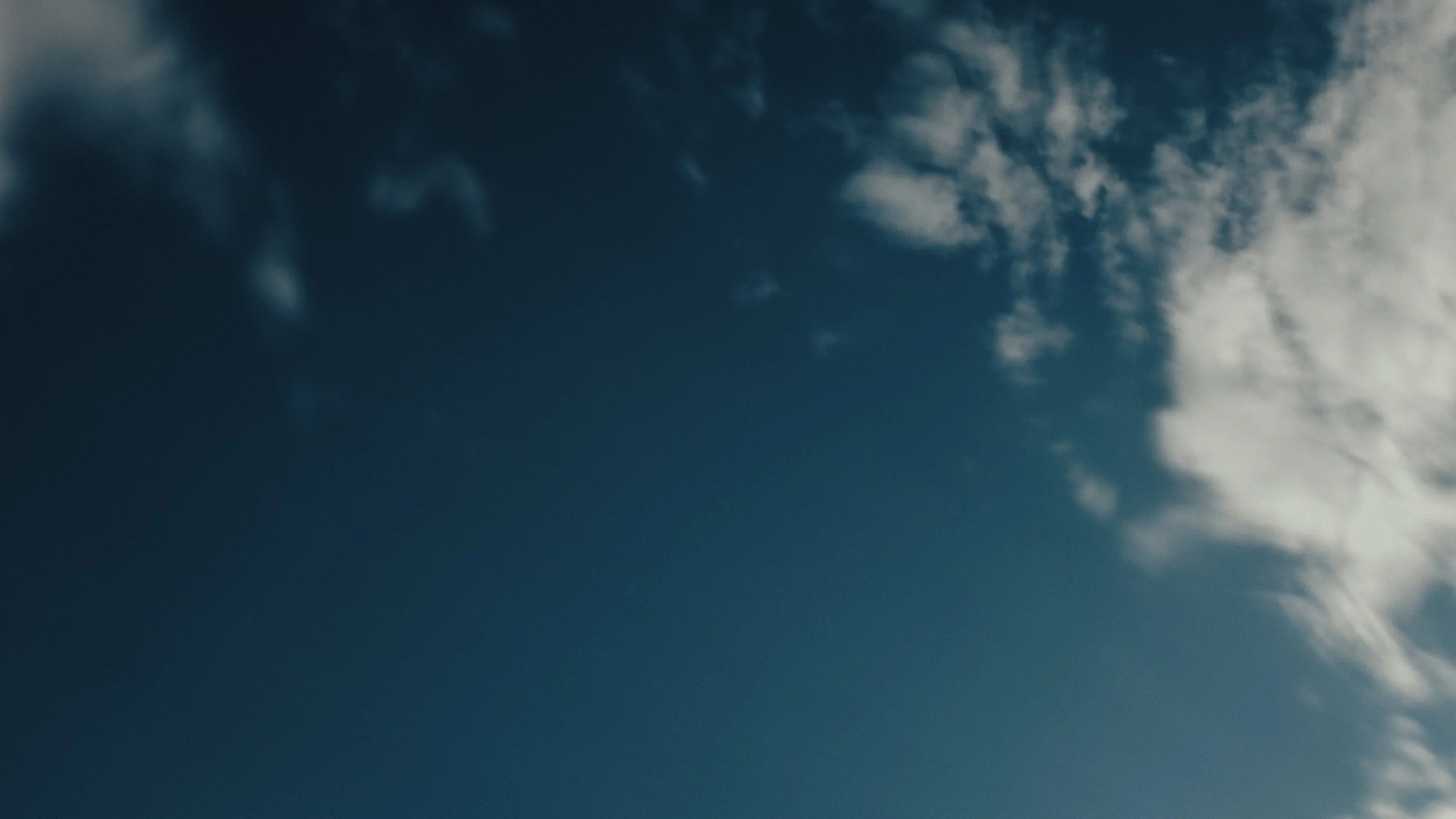 That Which Gives Us Life_4.4.1.jpg