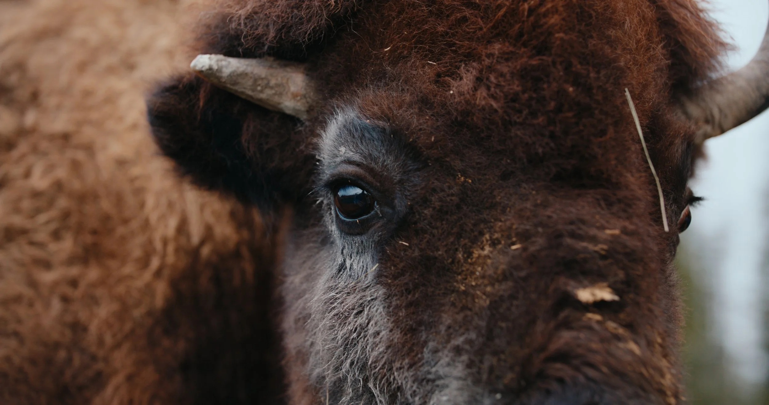 DBC_RTR_EP 6 Still_JPEG_1.60.1.jpg