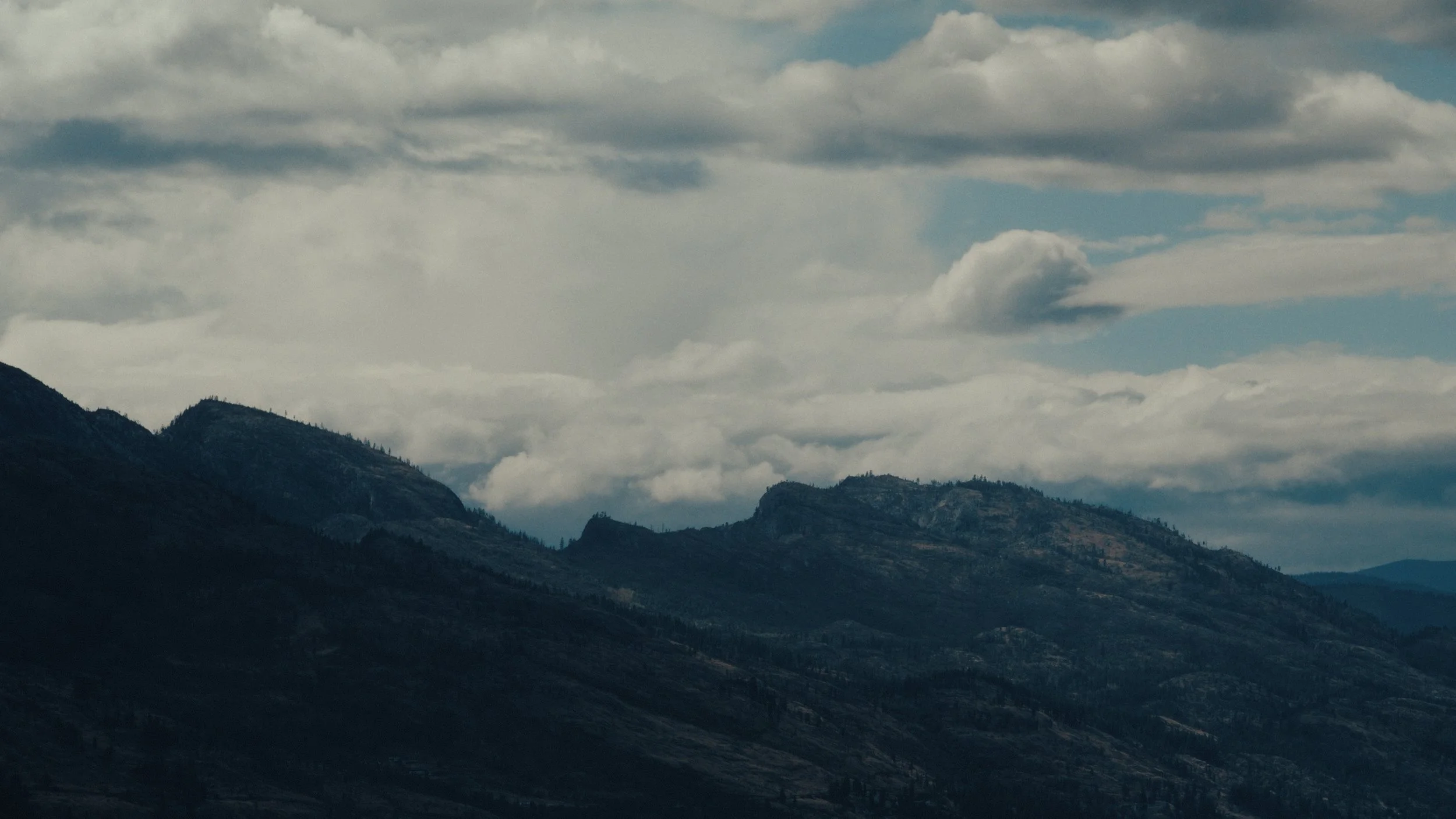 That Which Gives Us Life_2.17.1.jpg