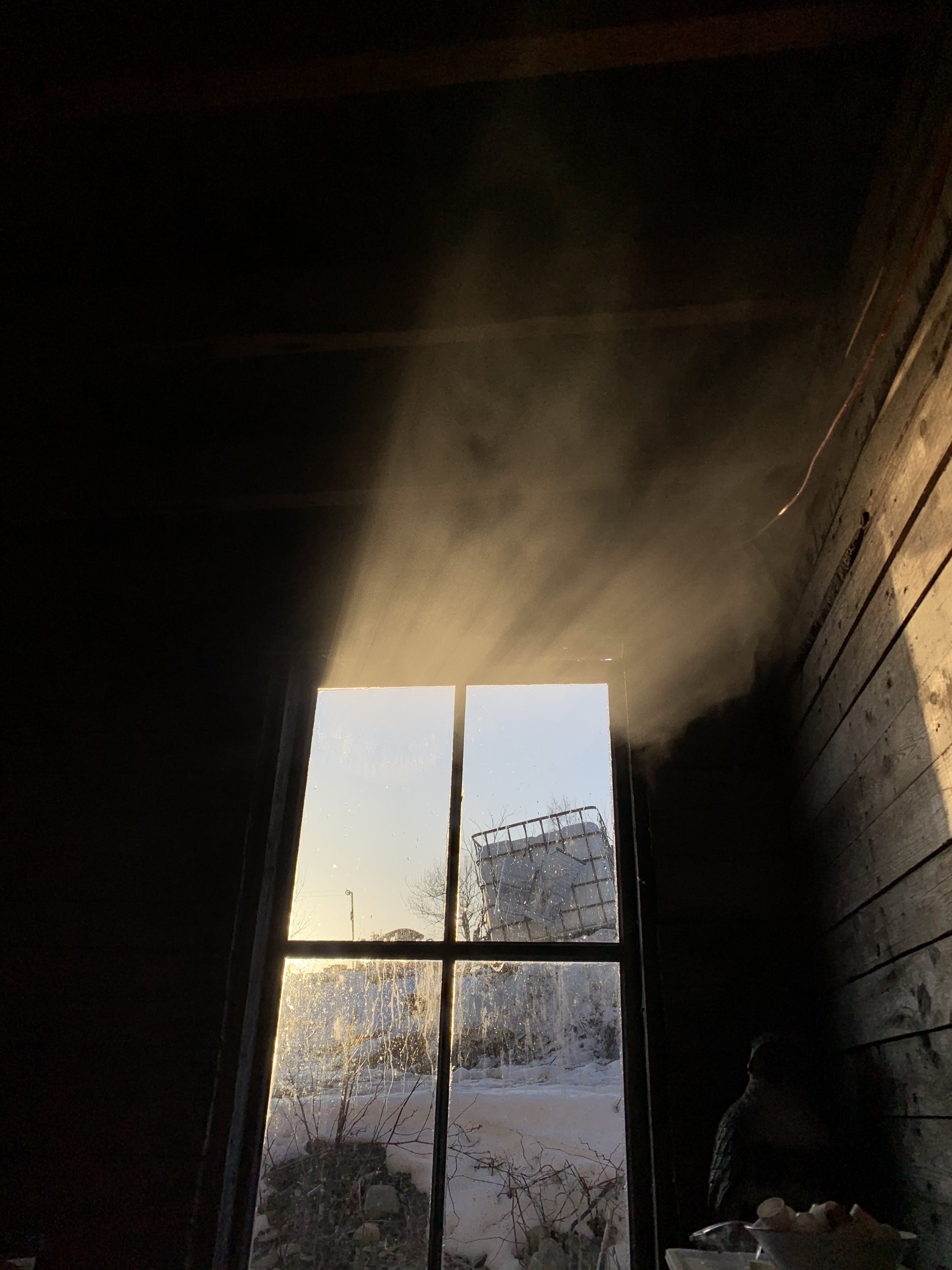 IMG_0642.jpeg
