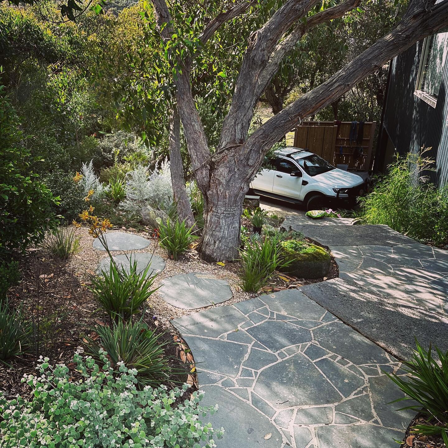 A moment to pause in the dappled afternoon light at our Eastern view project.
Landscape Architect: Matt York
Construction: @saltystonelandscaping @im.diggin.it.landscape @nectar_landscapes 
Softscape: @wombatgullyplantfarm @warnersnurseries @otwaysin
