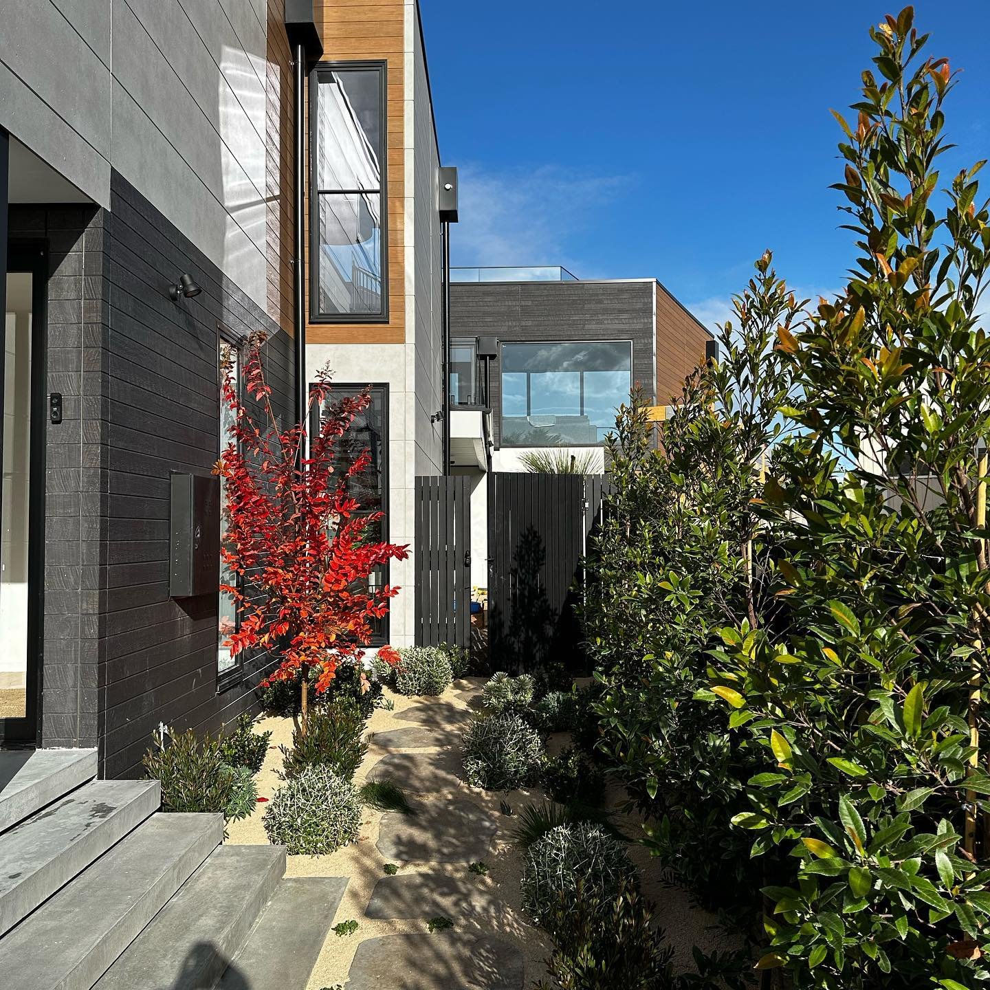 Construction well underway at our Jan Juc project, with second line coastal plantings coming together and a pop of Crepe Myrtle (Natchez) colour on axis with the lift shaft and stair well for seasonal joy. 
Stage 2 is the pool and spa area. 

Landsca