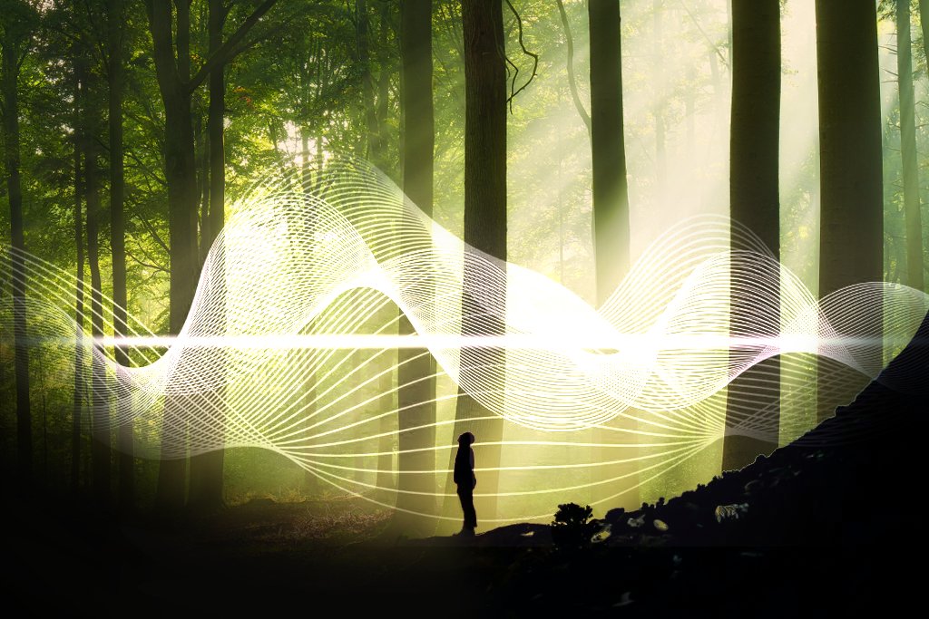 Expressions Magazine