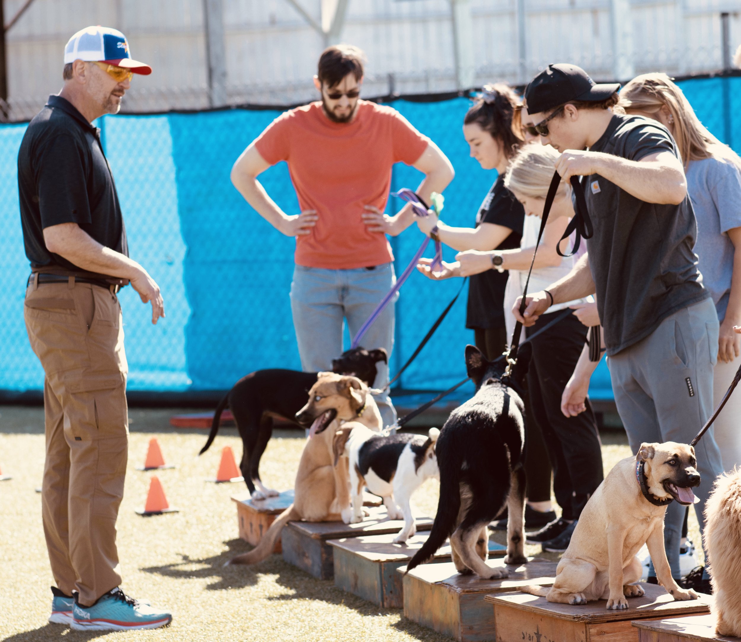 StarDog-6074.jpg