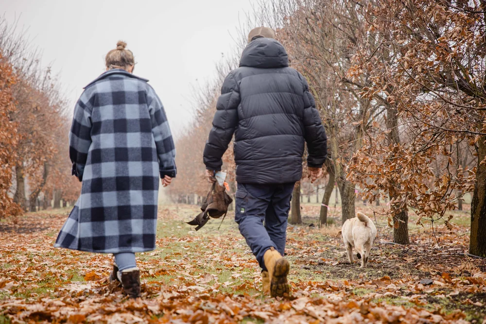 Truffle Hunting Tasmania Contact Us — Truffles of Tasmania