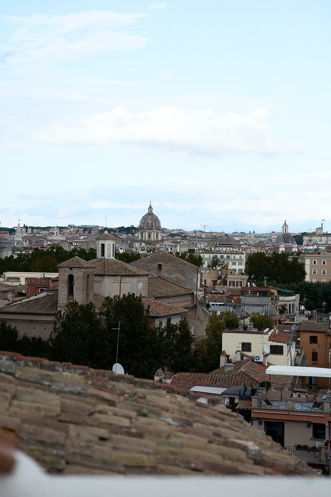 HMT02463 HEATHER TAMMARO.jpg