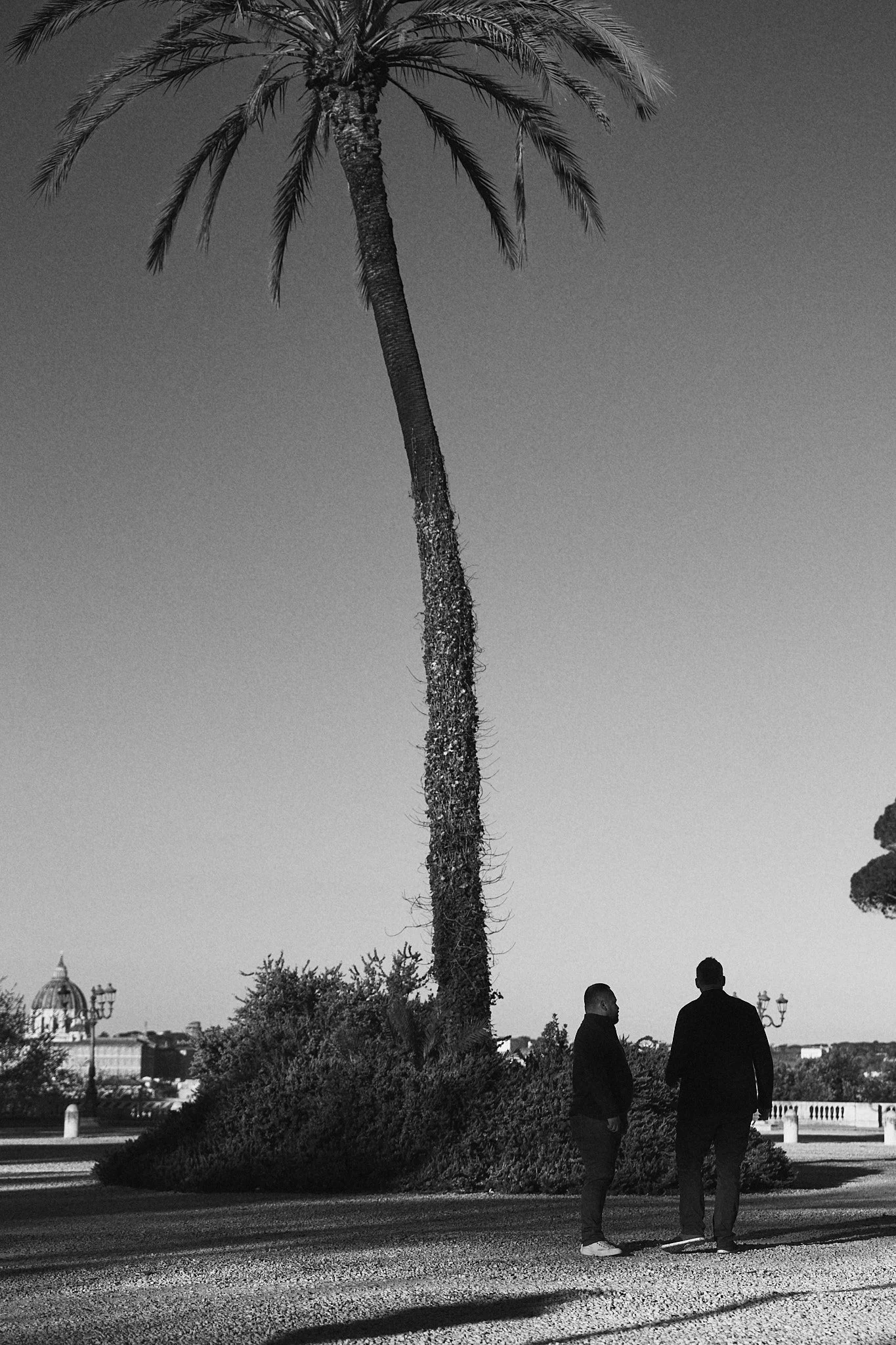 HMT00698-HEATHER TAMMARO.jpg