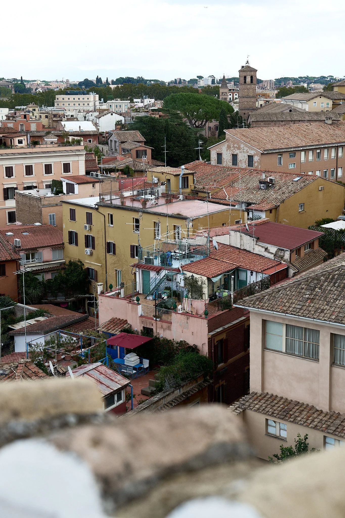 HMT02475 HEATHER TAMMARO.jpg