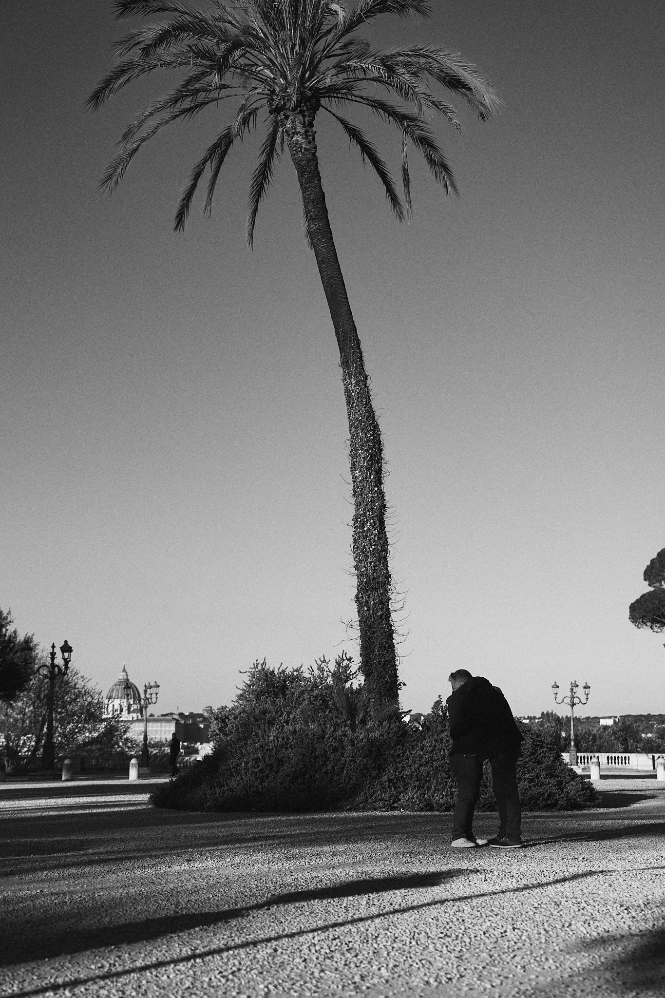 HMT00699-HEATHER TAMMARO.jpg