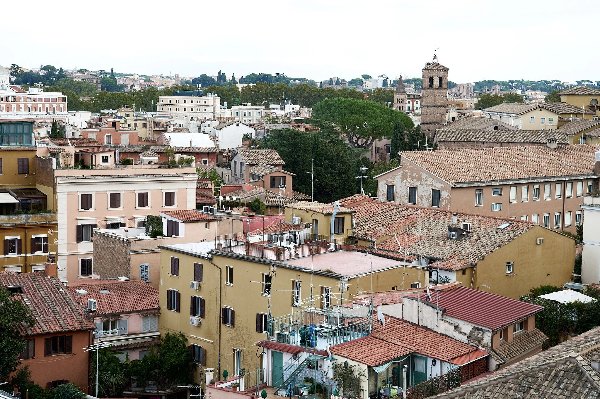 HMT02473 HEATHER TAMMARO.jpg