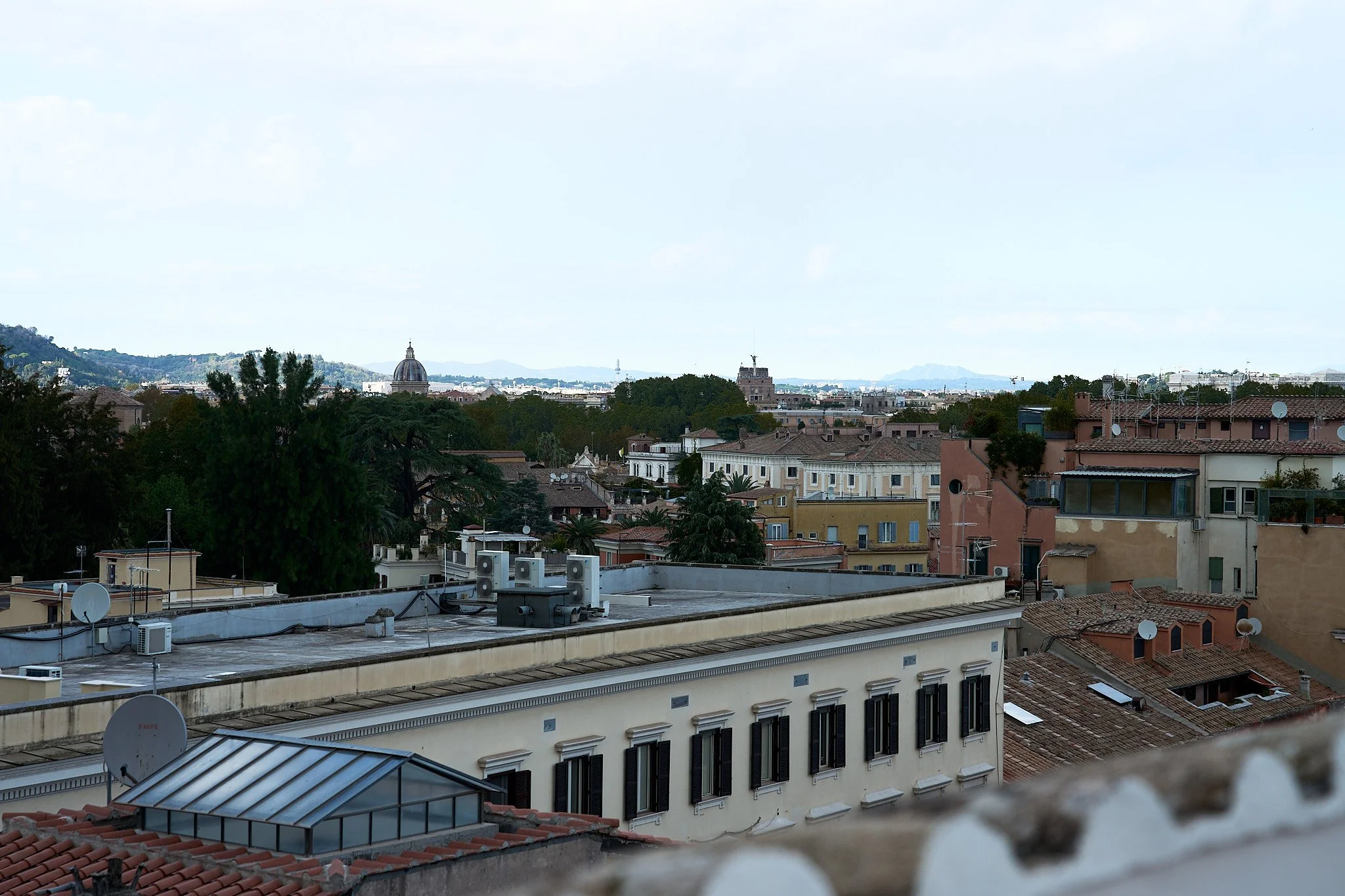 HMT02477 HEATHER TAMMARO.jpg