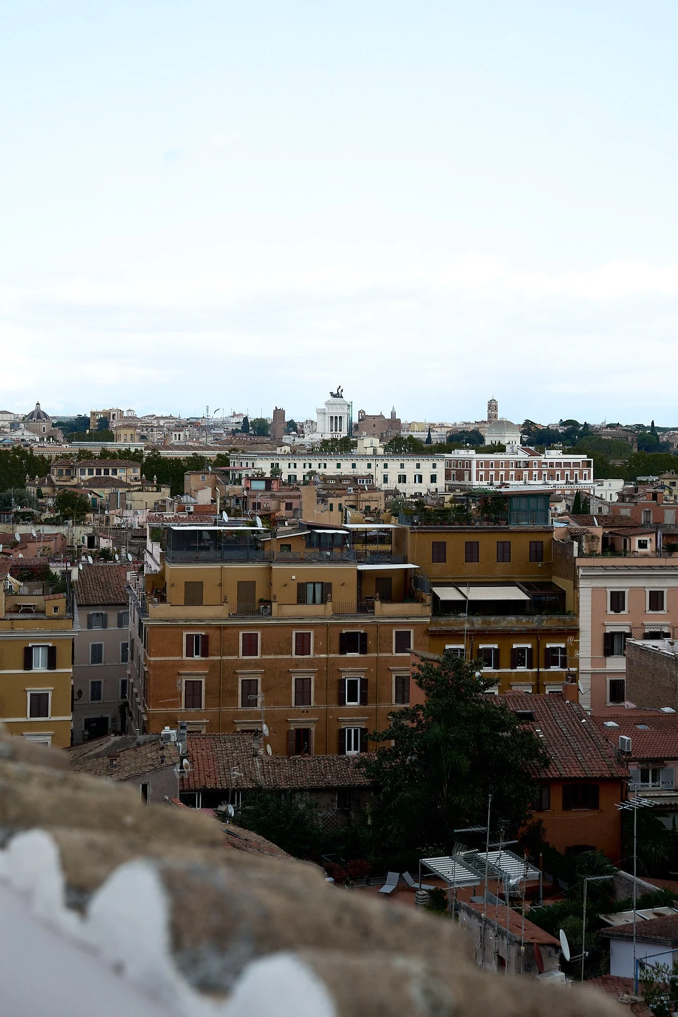 HMT02474 HEATHER TAMMARO.jpg