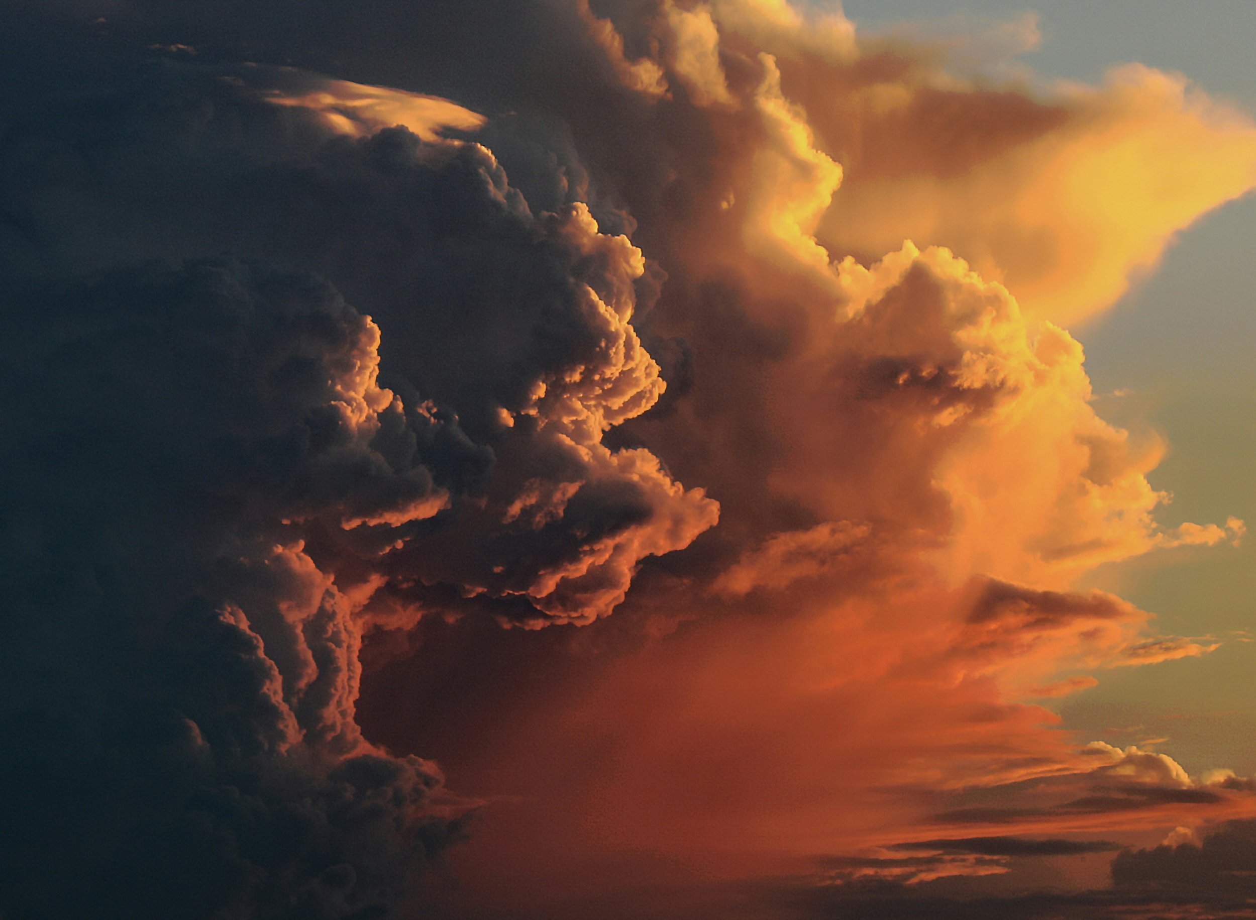 The Art of Weathering Market Turbulence. By Damon O’Brien.