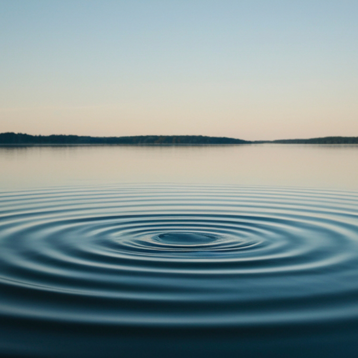 Stop, drop and stay the course. By Dimensional.