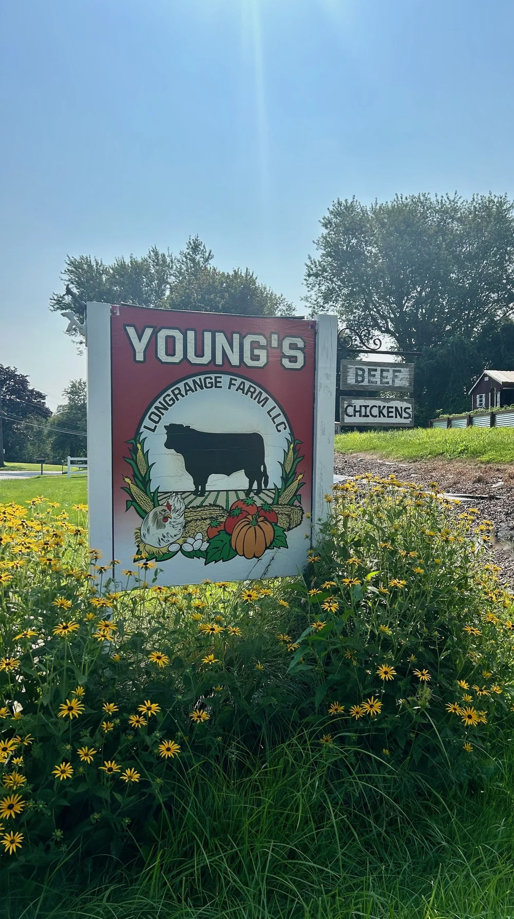   Young's Longrange Farm welcomes guests.  