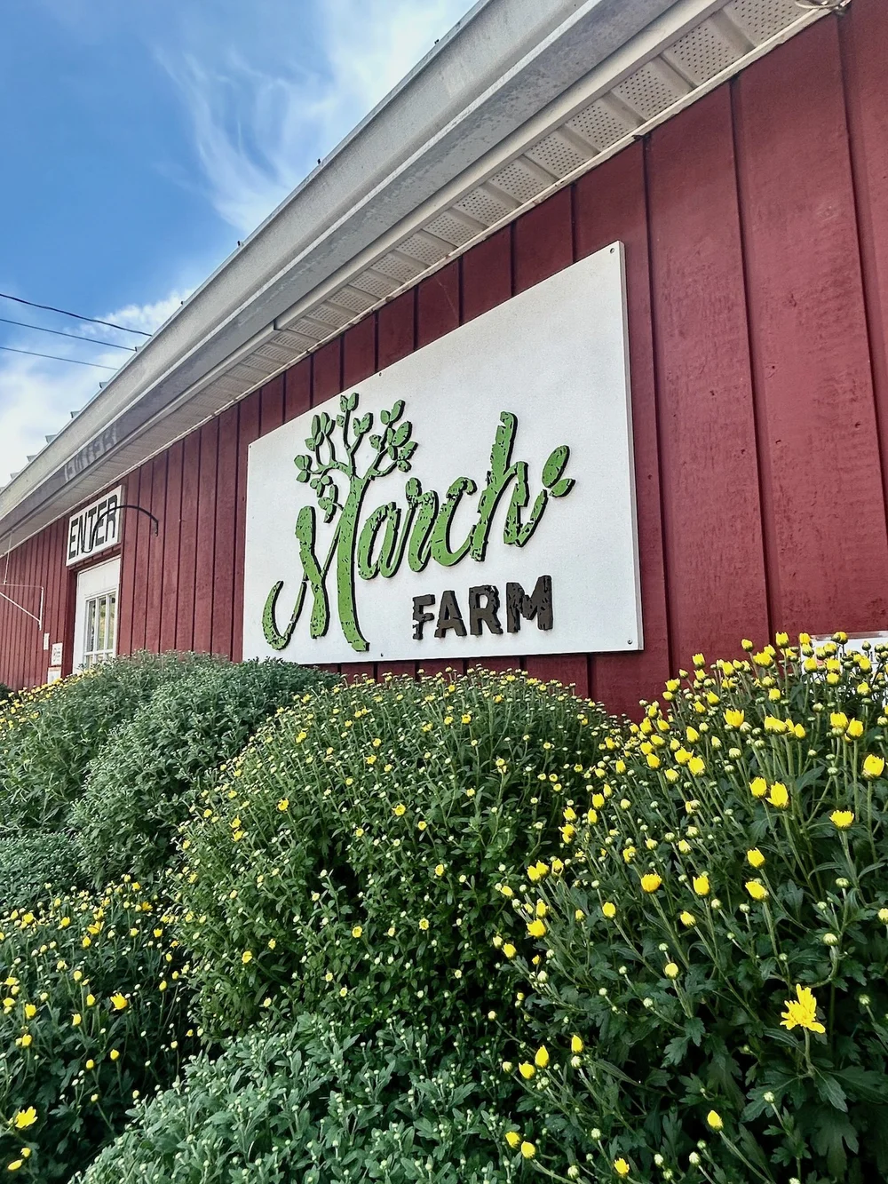   Mum's the word at March Farm in Bethlehem.  