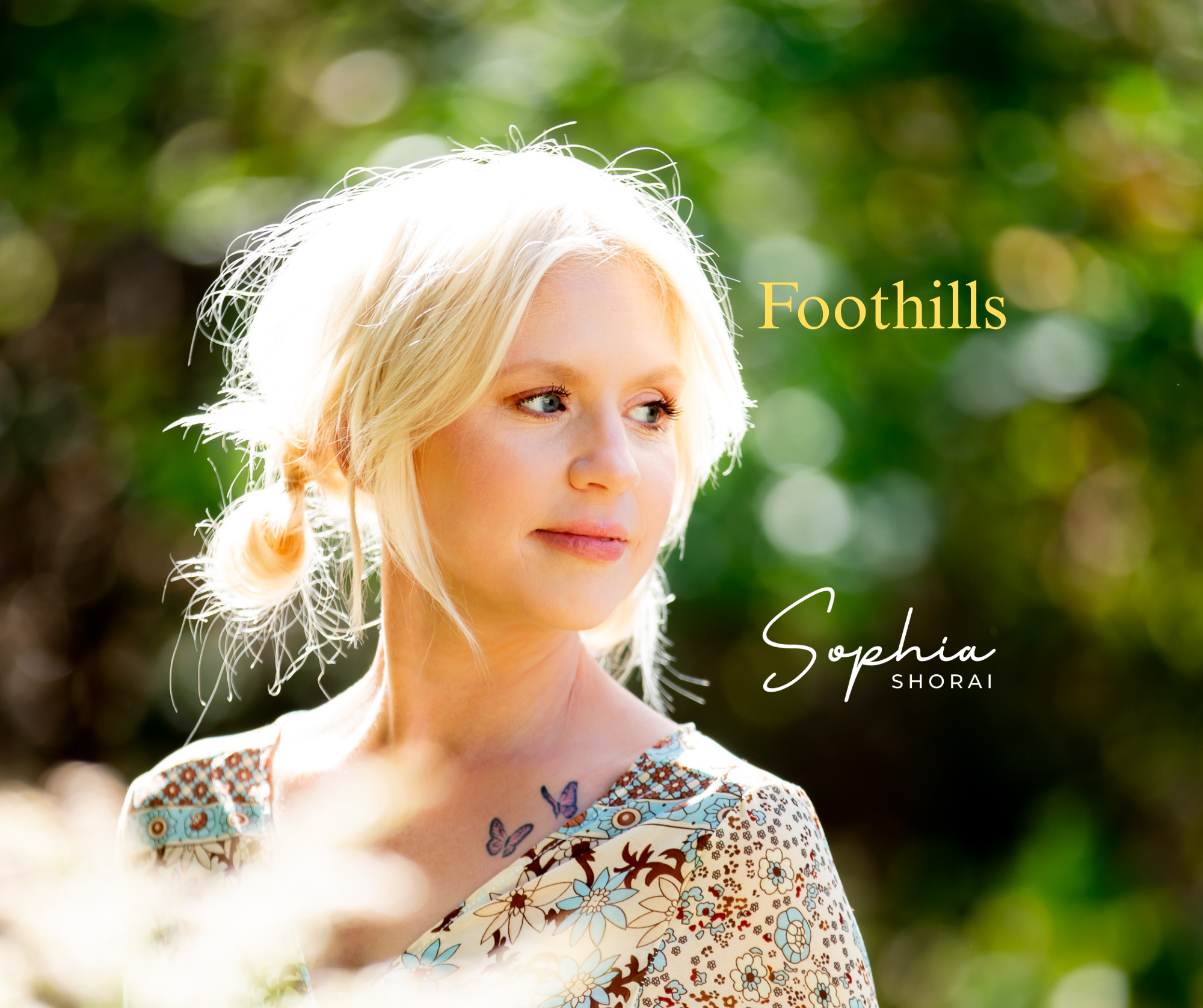 Foothills