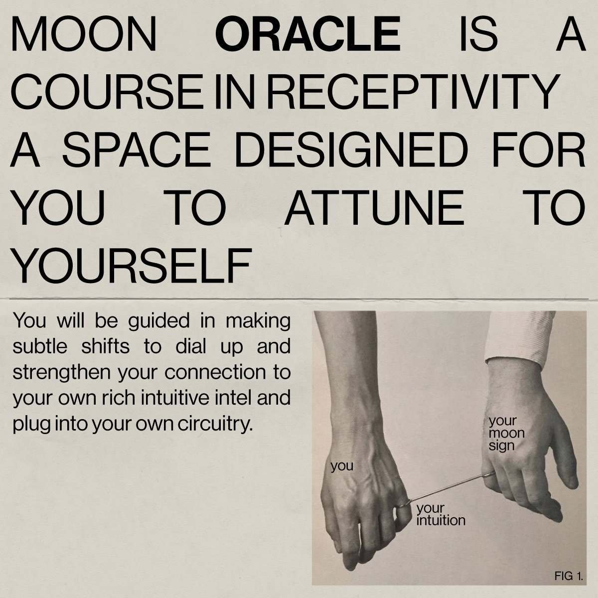Moon_Oracle_Carousel_2.jpg