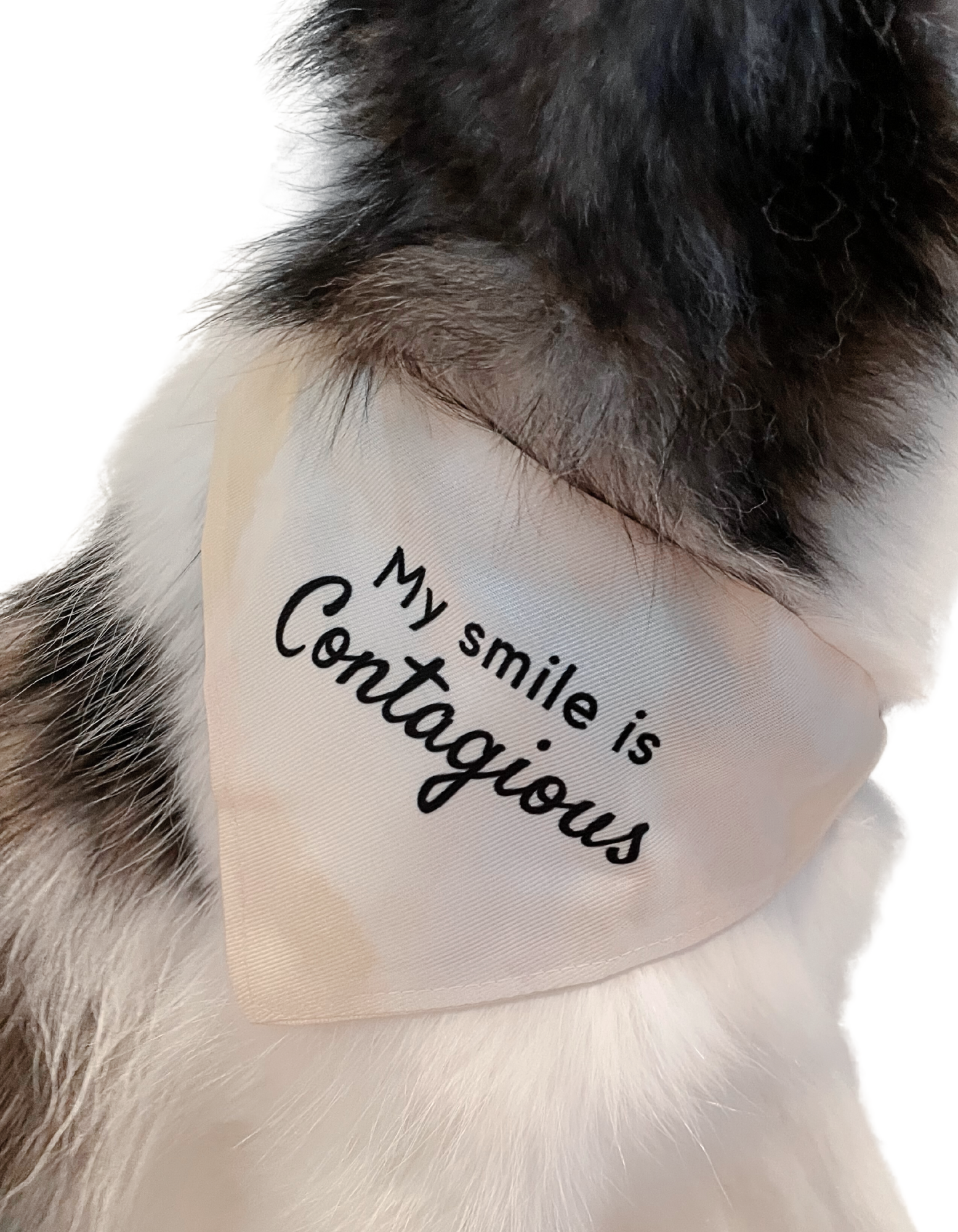 smile is contagious 2.png