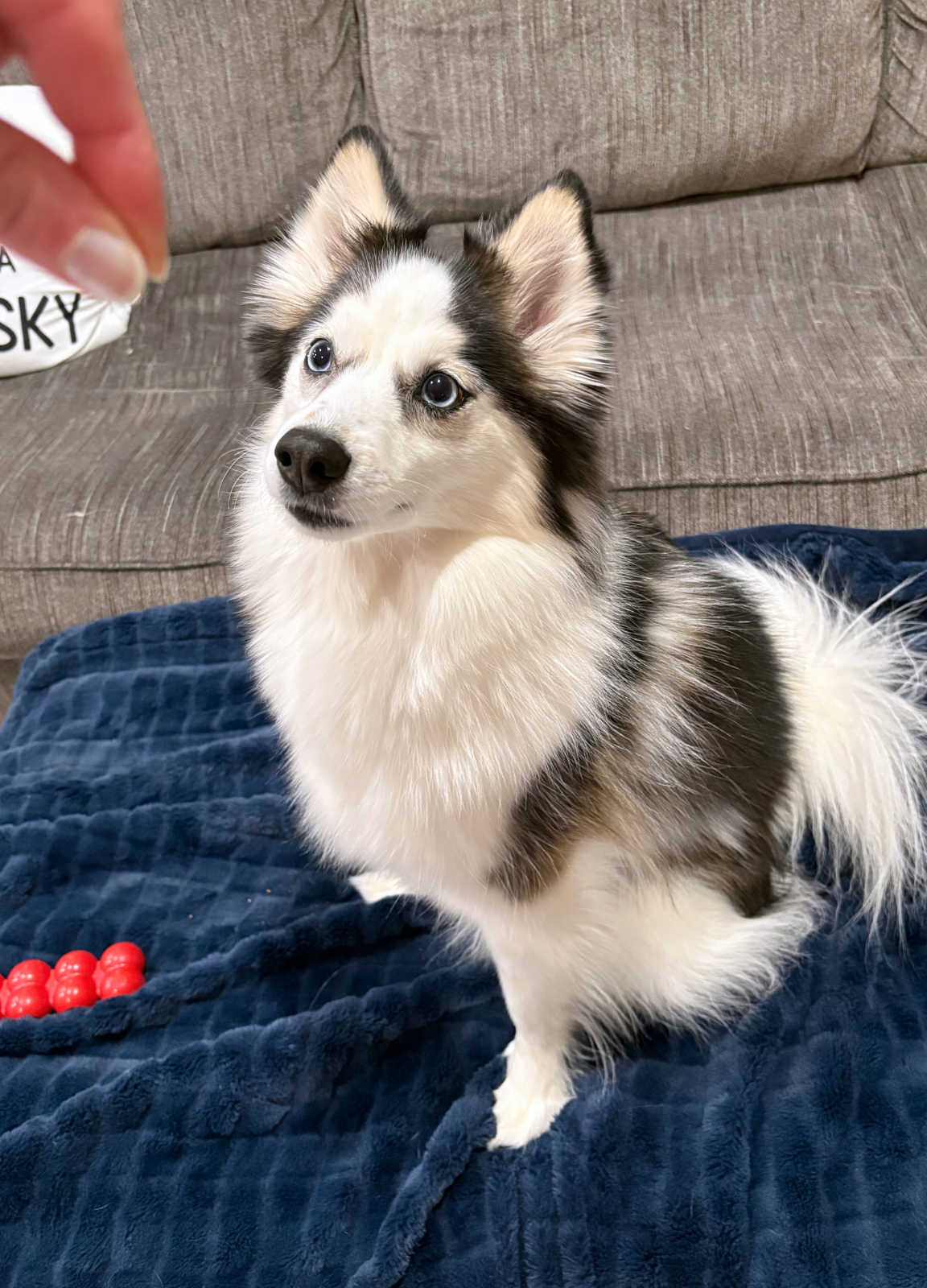 Blog 86 training.png