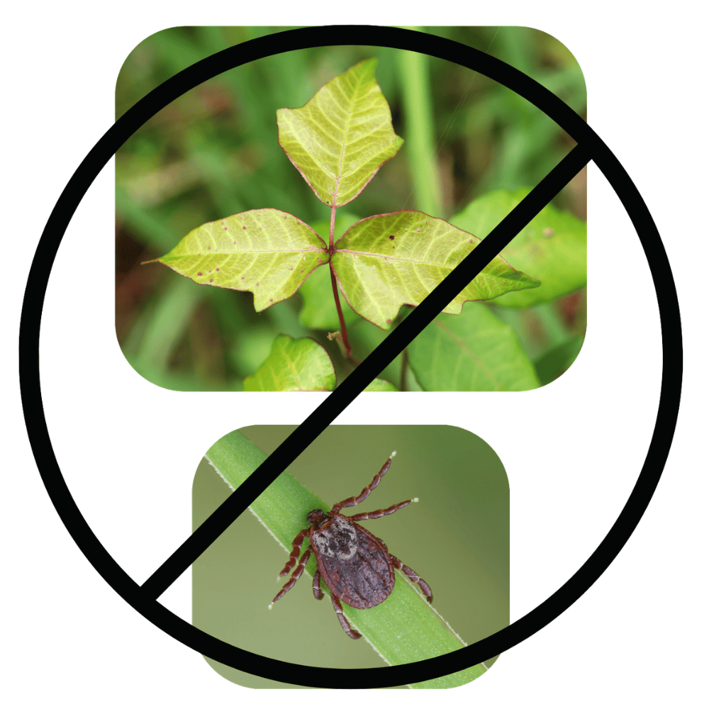 Untitled design (40).png