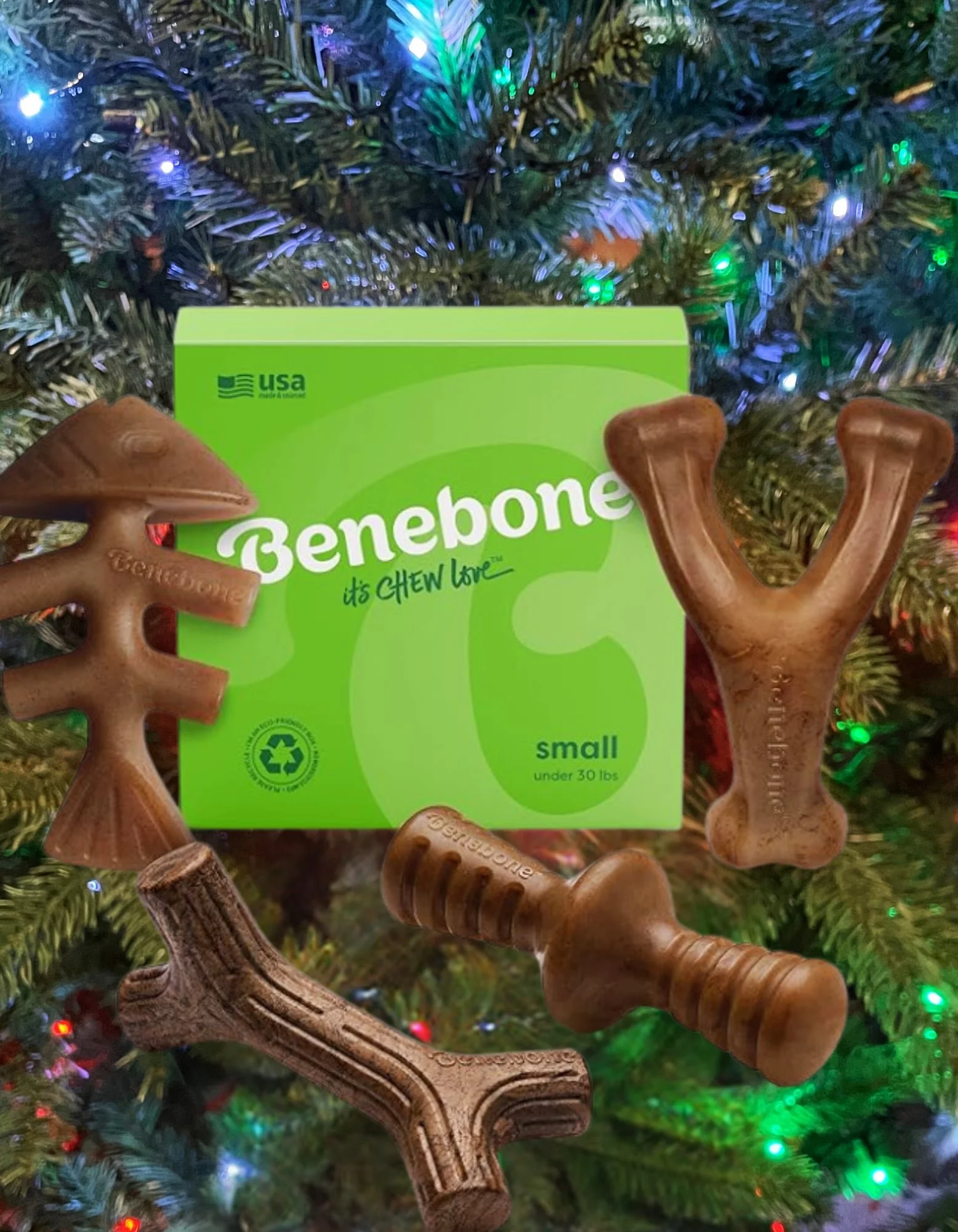 blog+49+benebone+tree_compressed.jpg