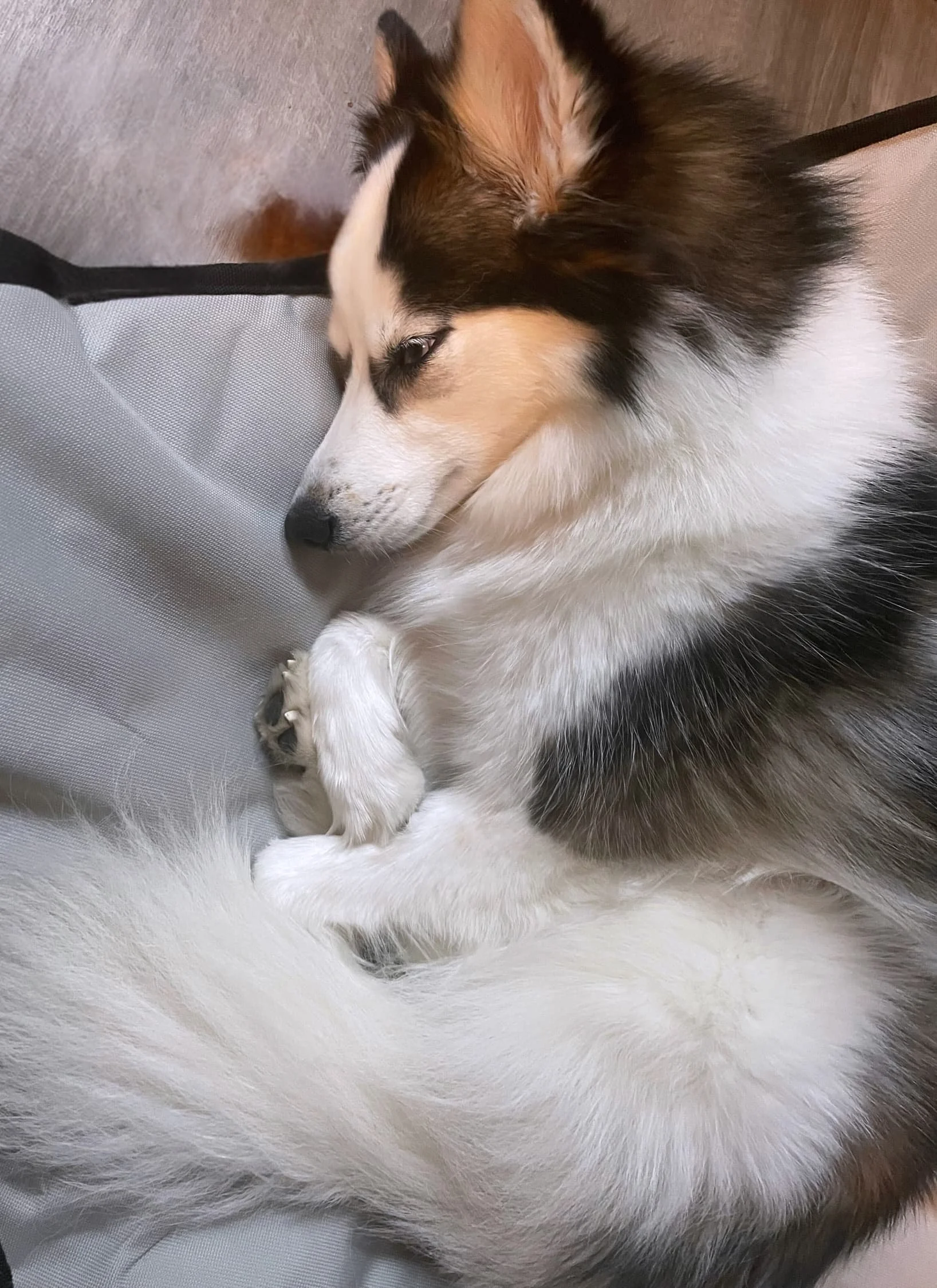 blog+72+cozy+spot_compressed.jpg