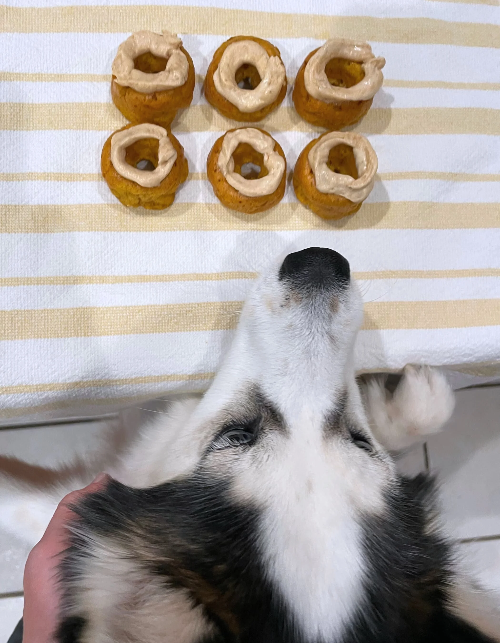 blog+83+baking_compressed.jpg