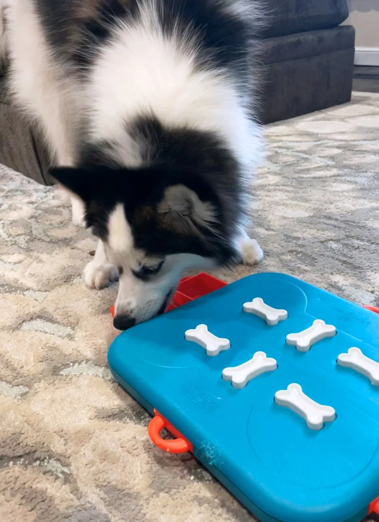 blog75puzzletoy-compressed-69ea2c0edd8c2.jpg