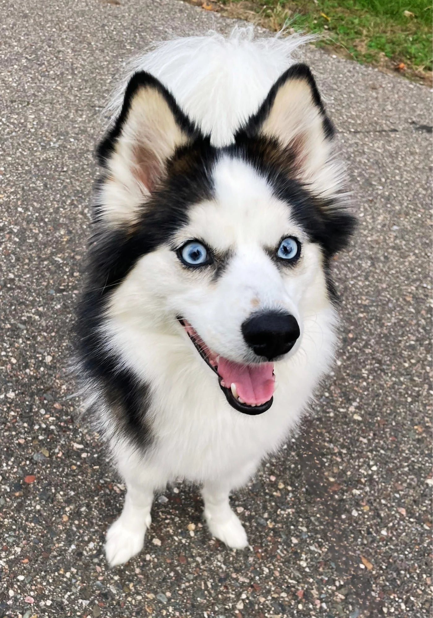 blog+44+shelby+smiling+png_compressed.jpg