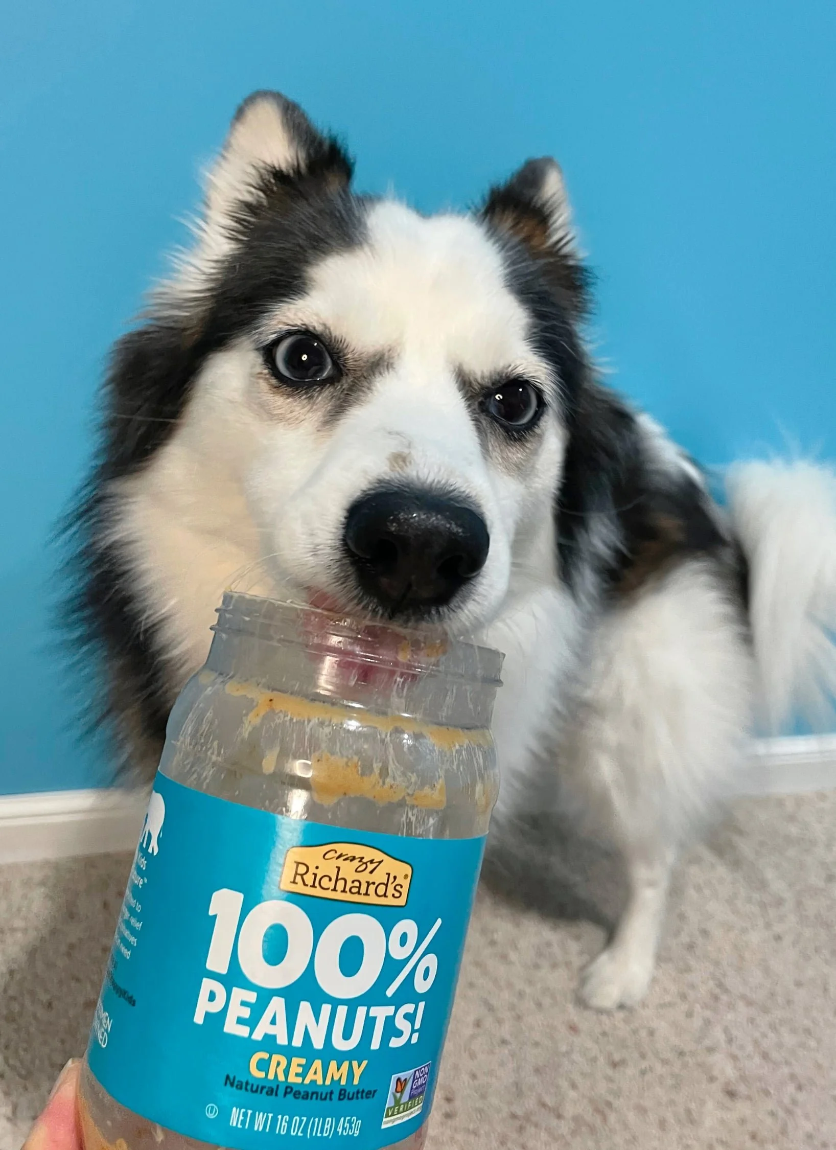 Blog+51+peanut+butter_compressed.jpg