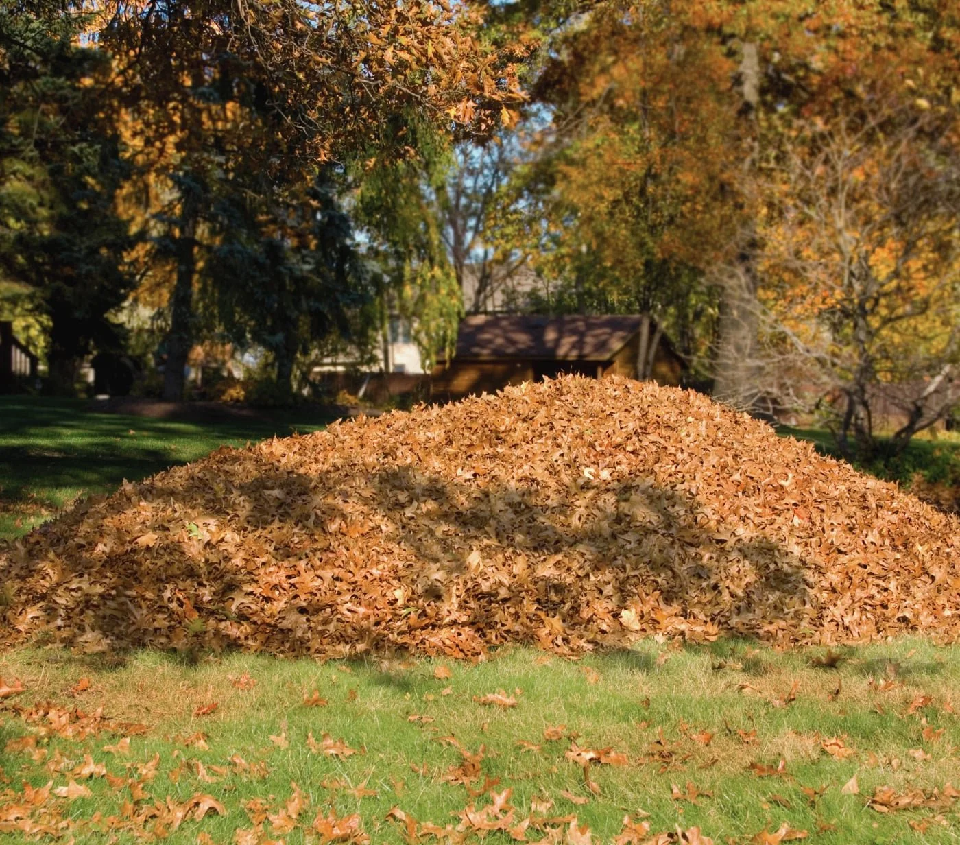 blog+post+42+leaf+piles_compressed.jpg