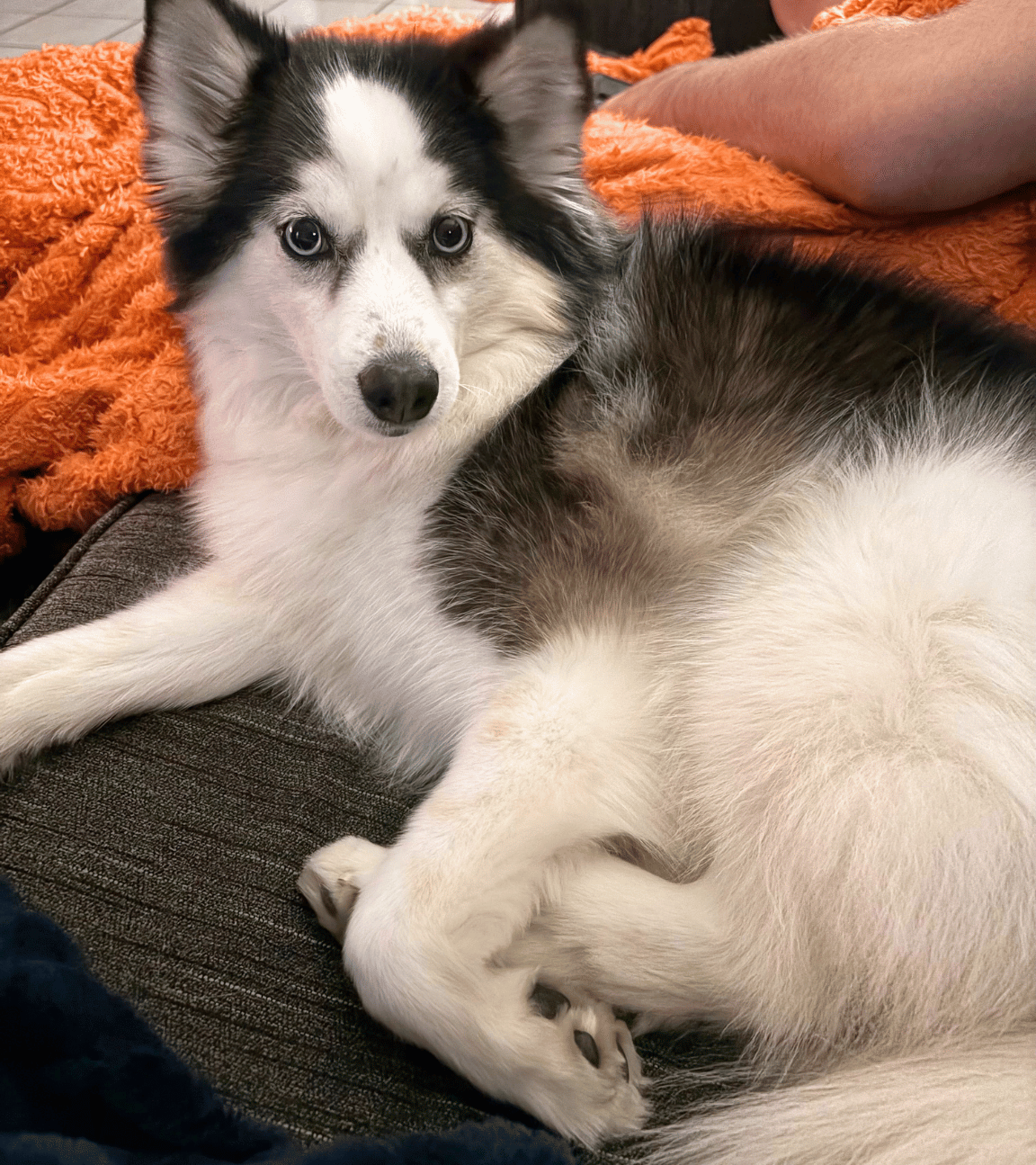 Blog 88 snuggle.png
